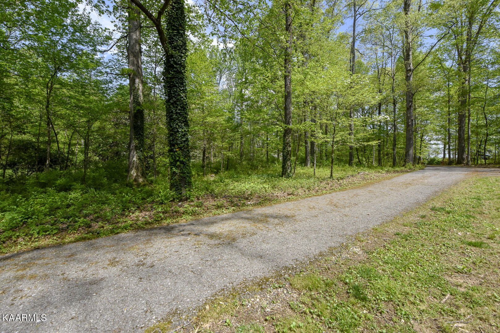 105 Greyson Woods Drive