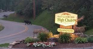 1380 Ski View Drive, UNIT 1106