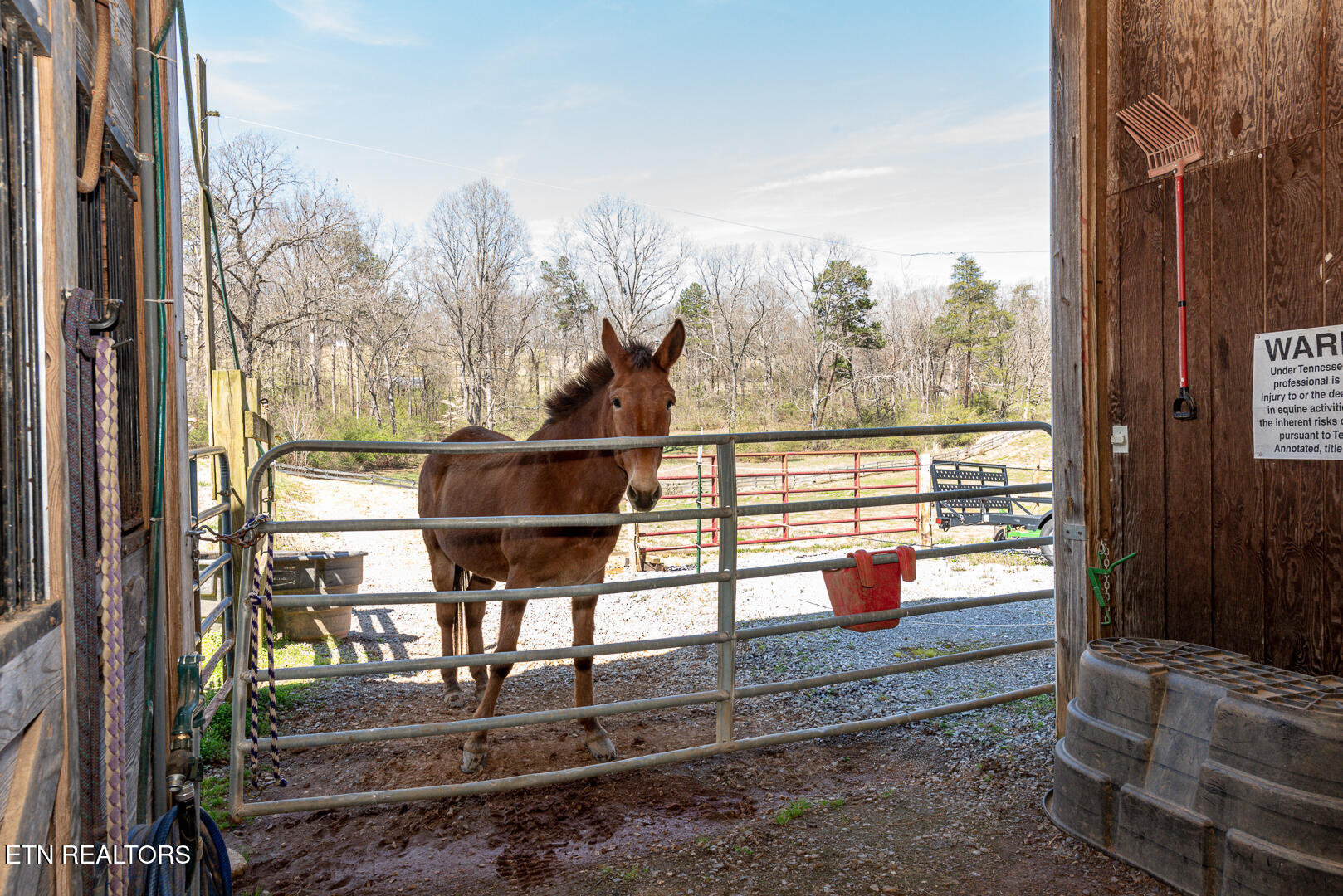 902 Summer Hill Court