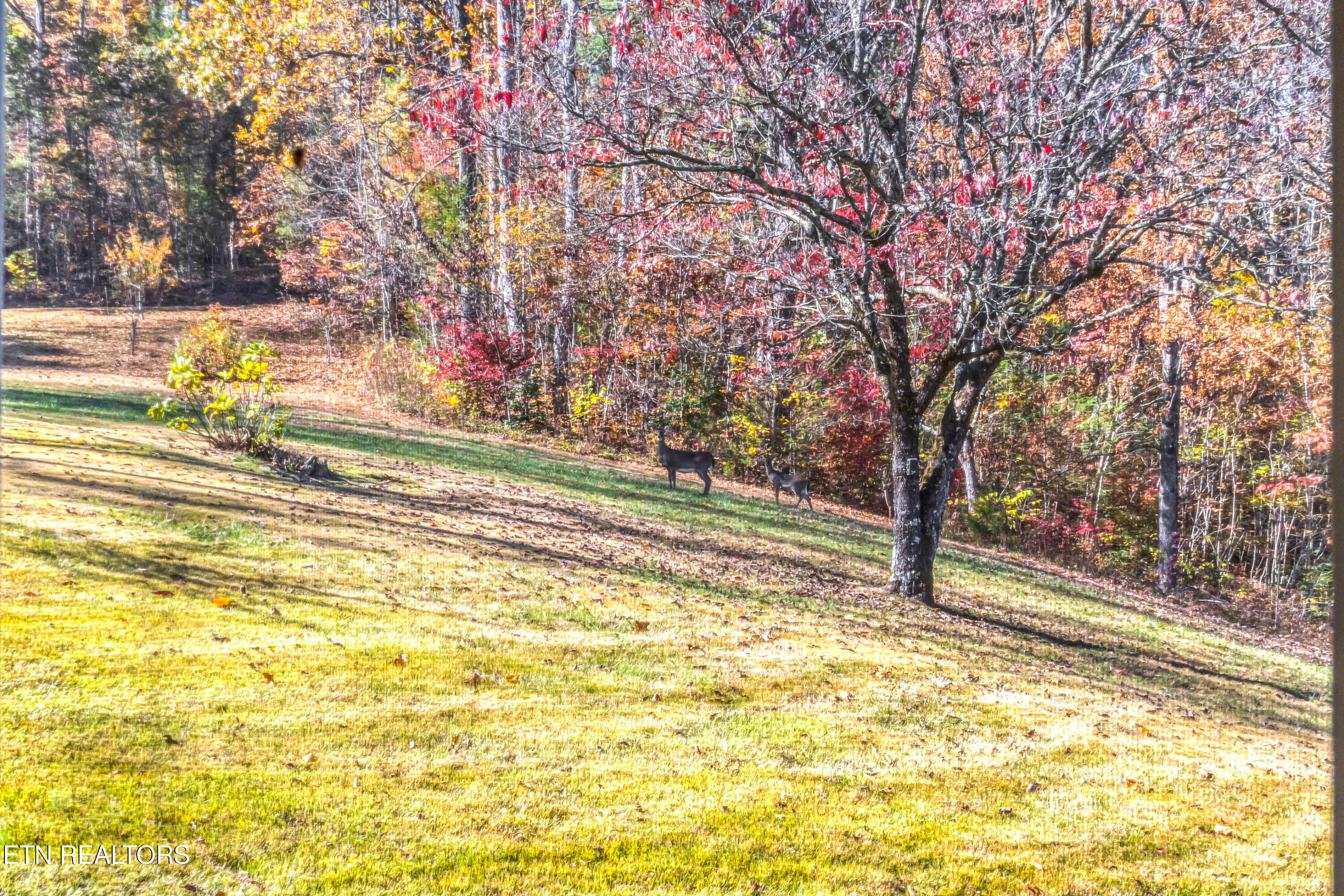 6260 E Lamar Alex Pkwy