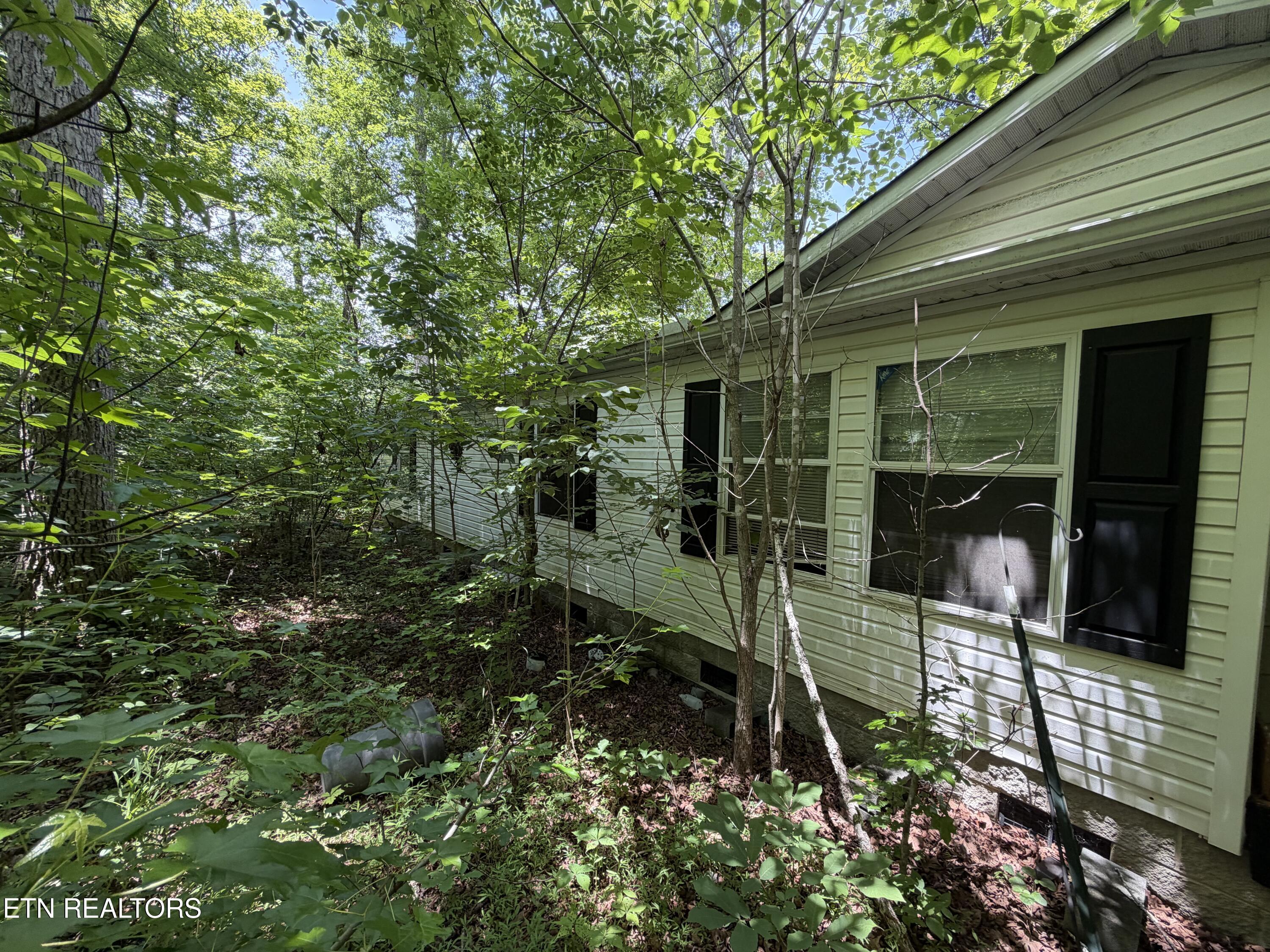 1919 Reagan Mill Rd