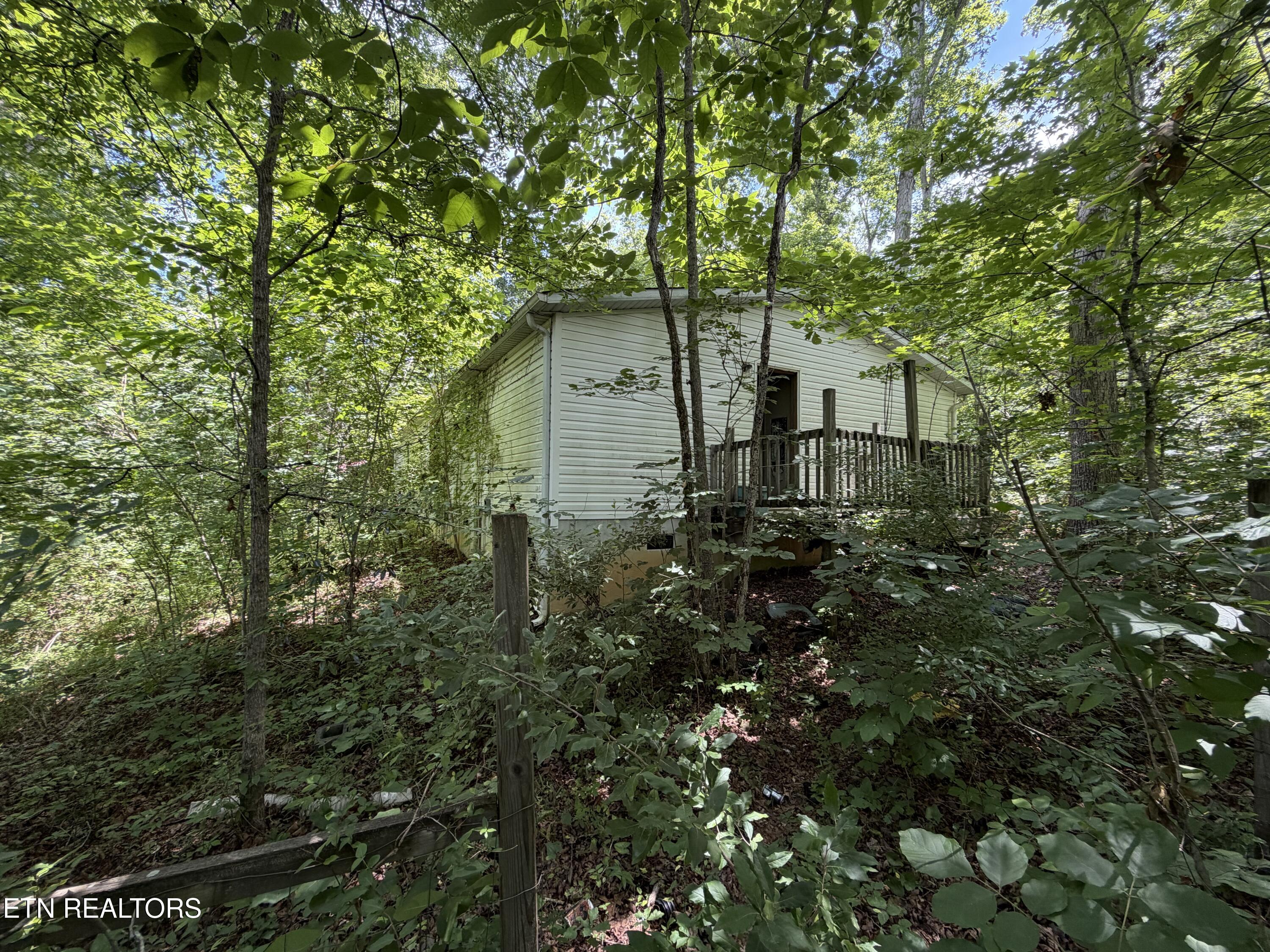 1919 Reagan Mill Rd