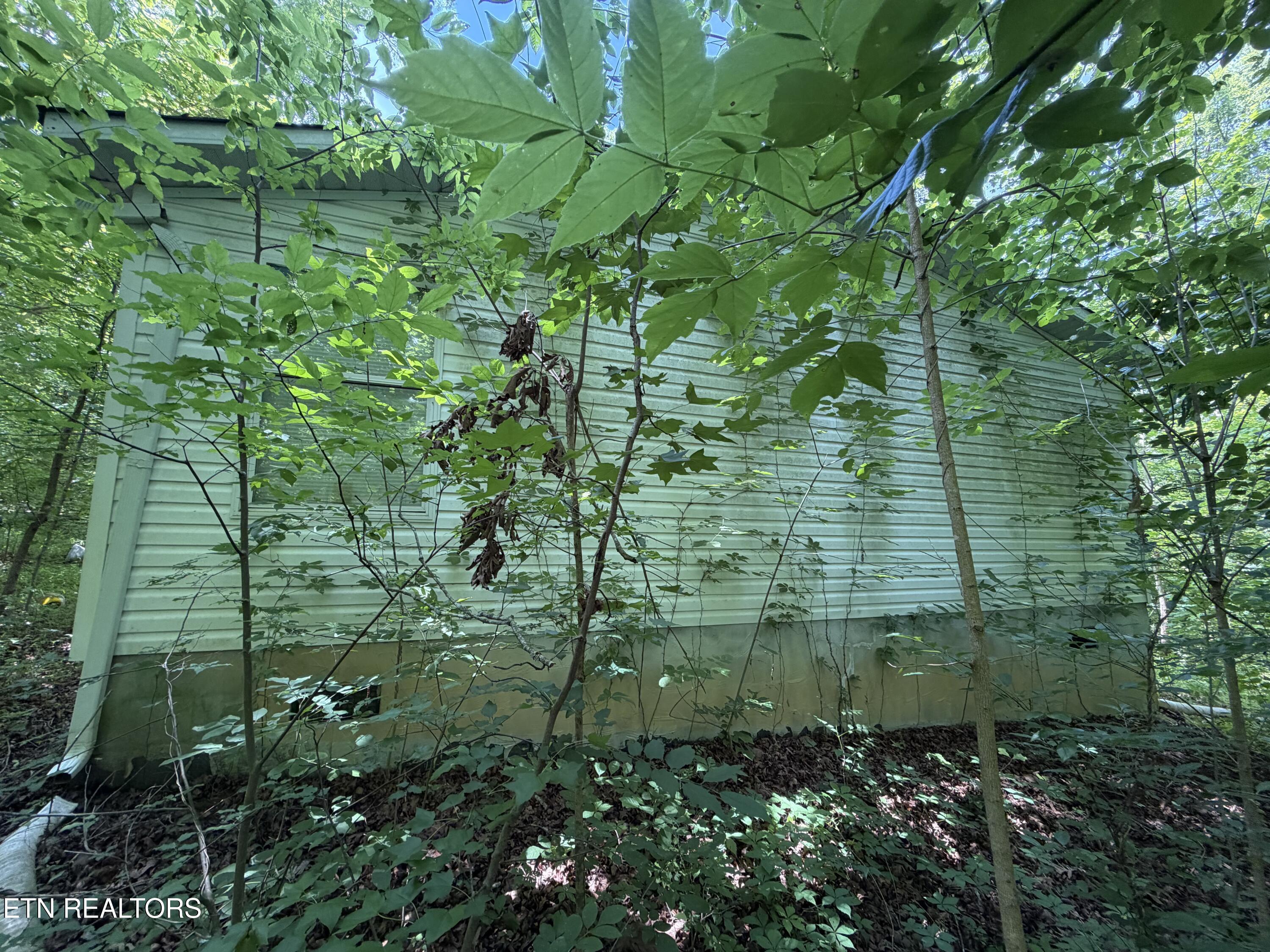 1919 Reagan Mill Rd