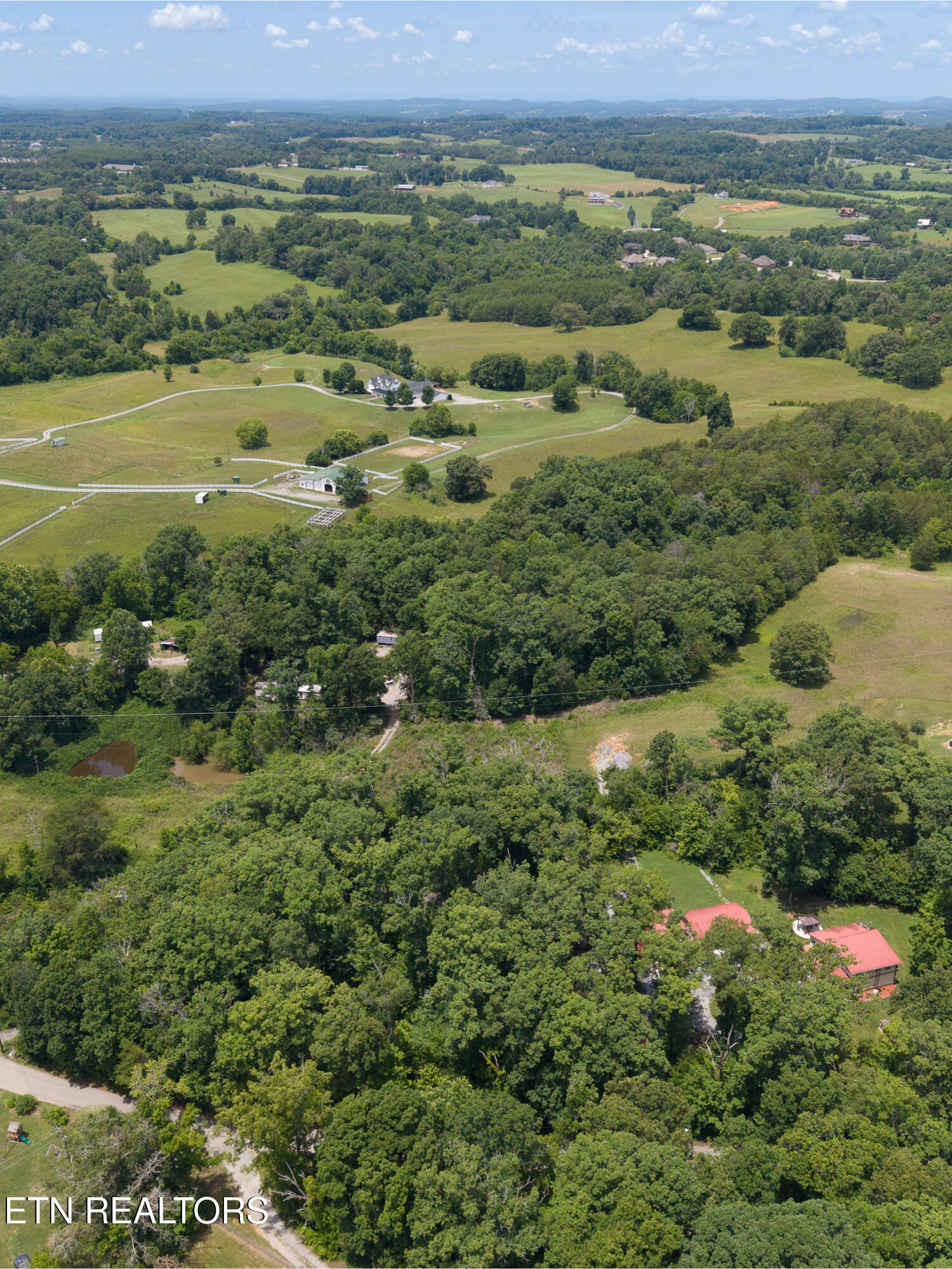 1919 Reagan Mill Rd