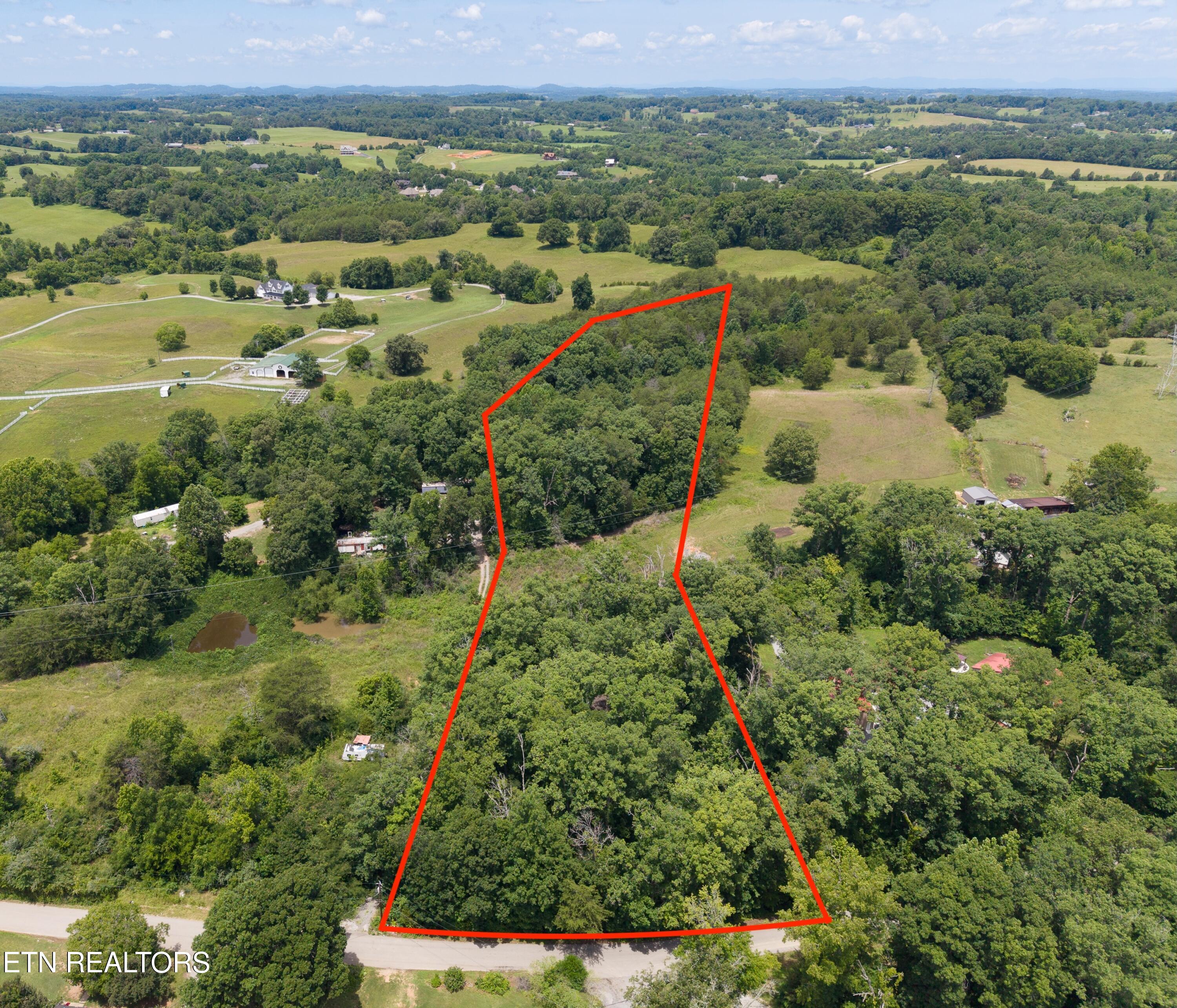 1919 Reagan Mill Rd
