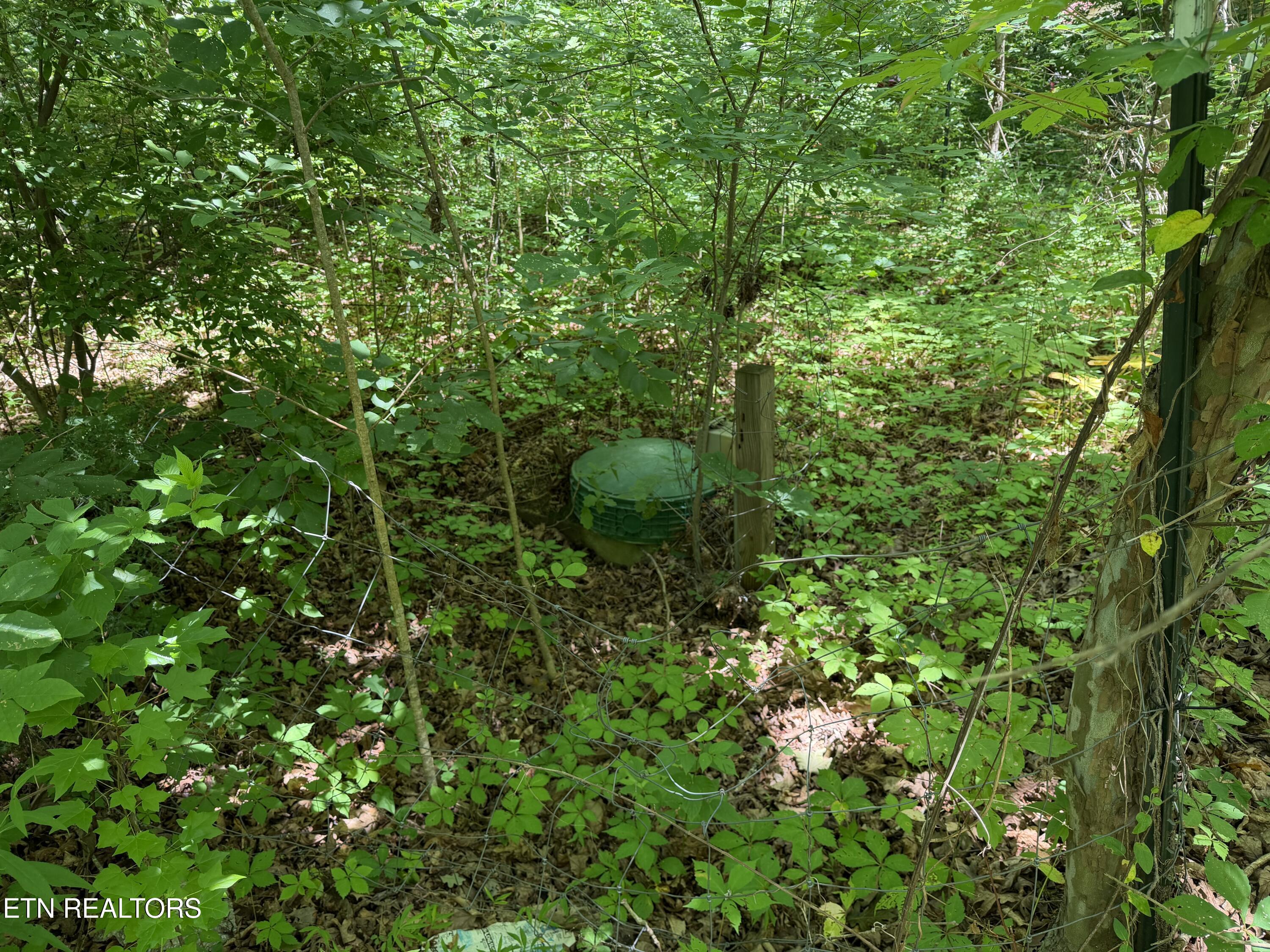 1919 Reagan Mill Rd