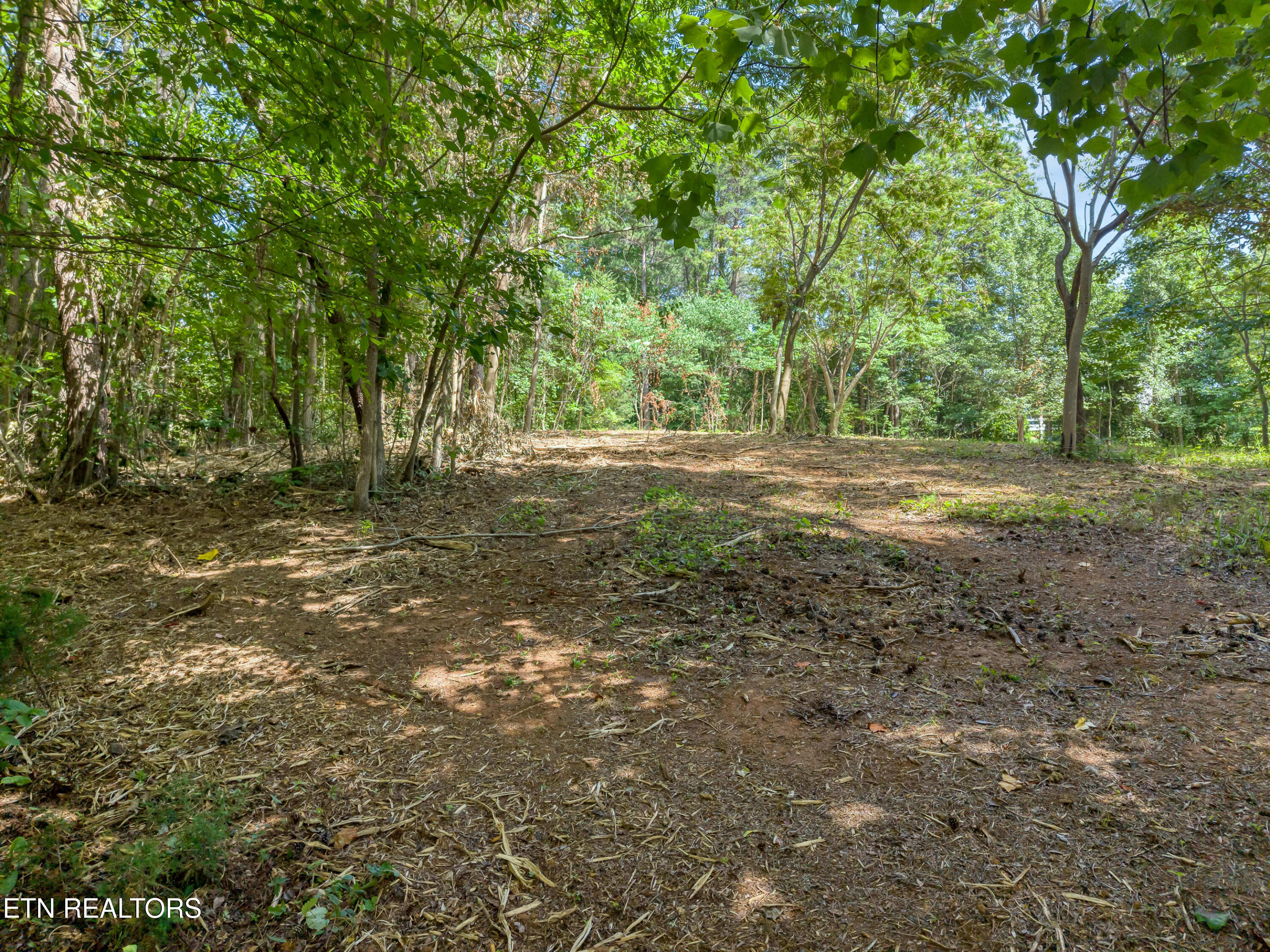 Kennesaw Court