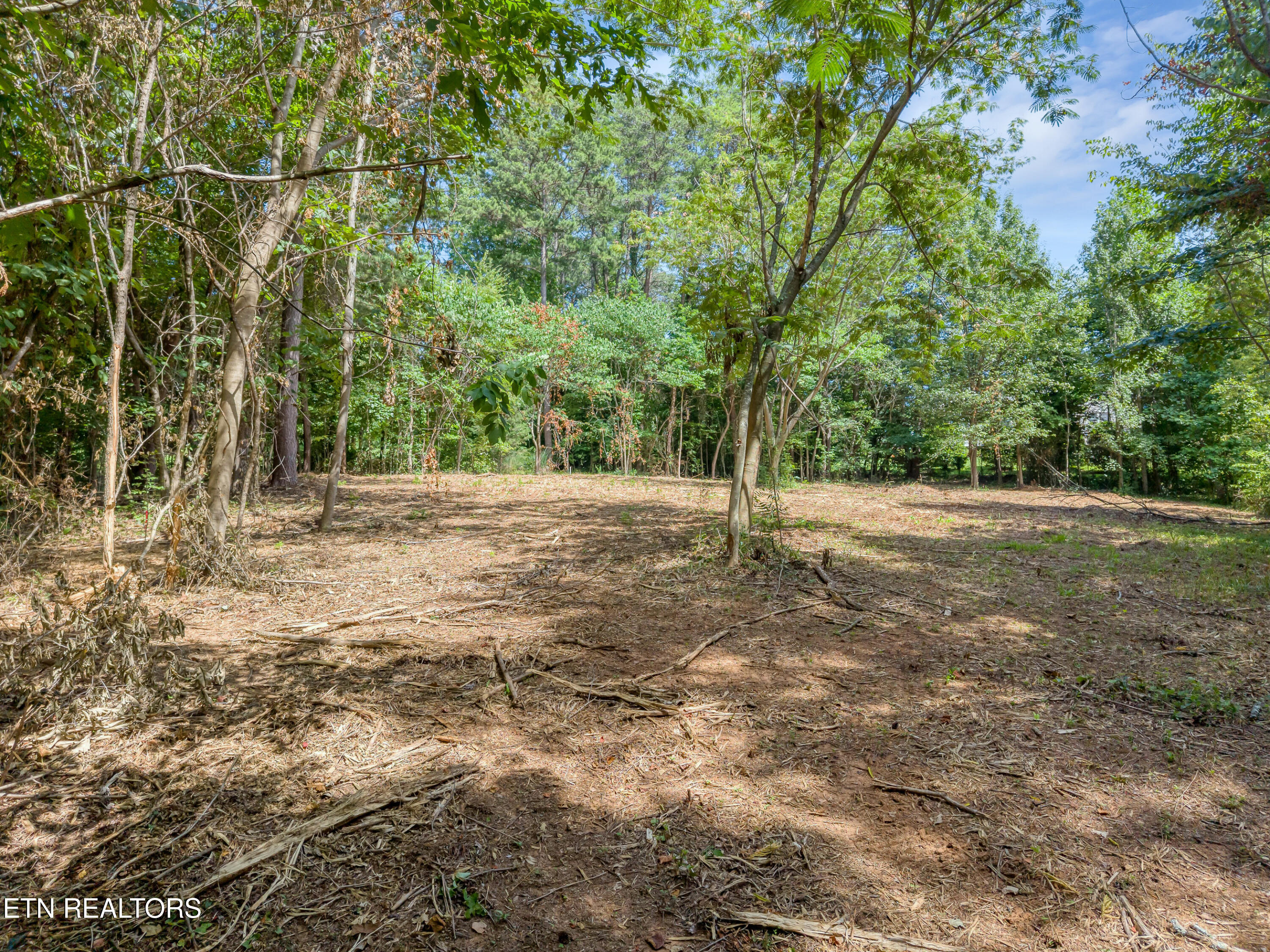 Kennesaw Court
