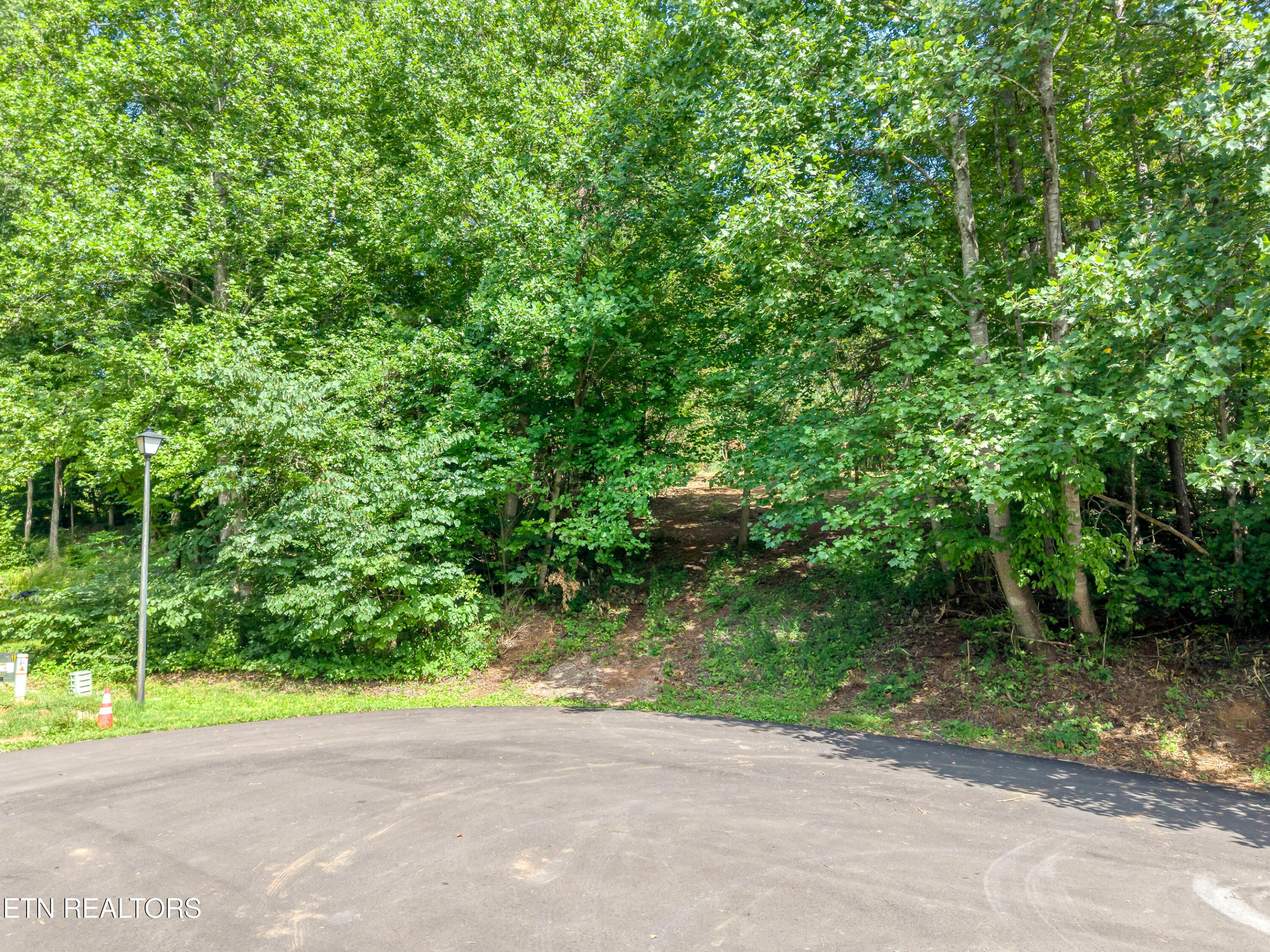 Kennesaw Court