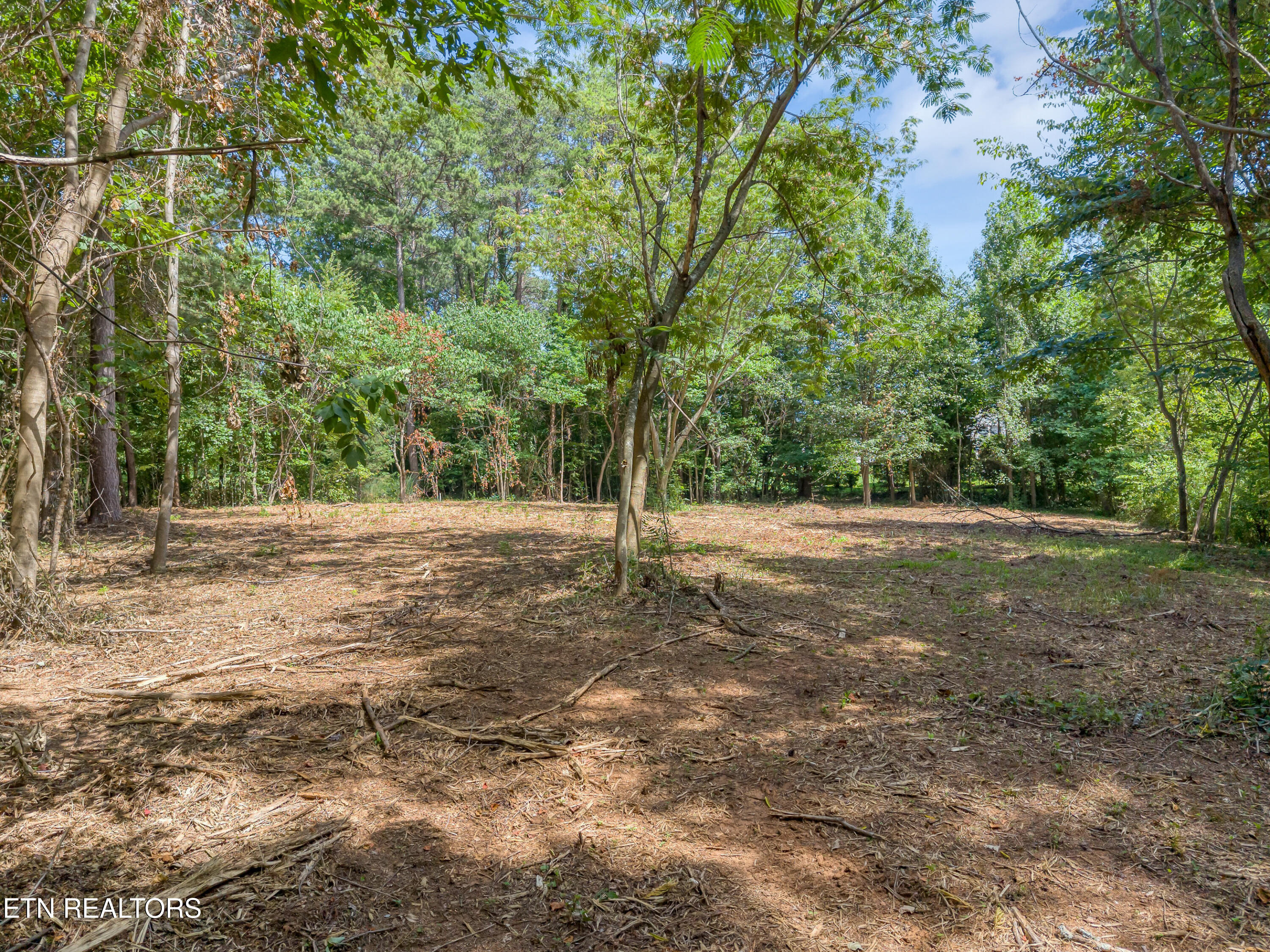 Kennesaw Court