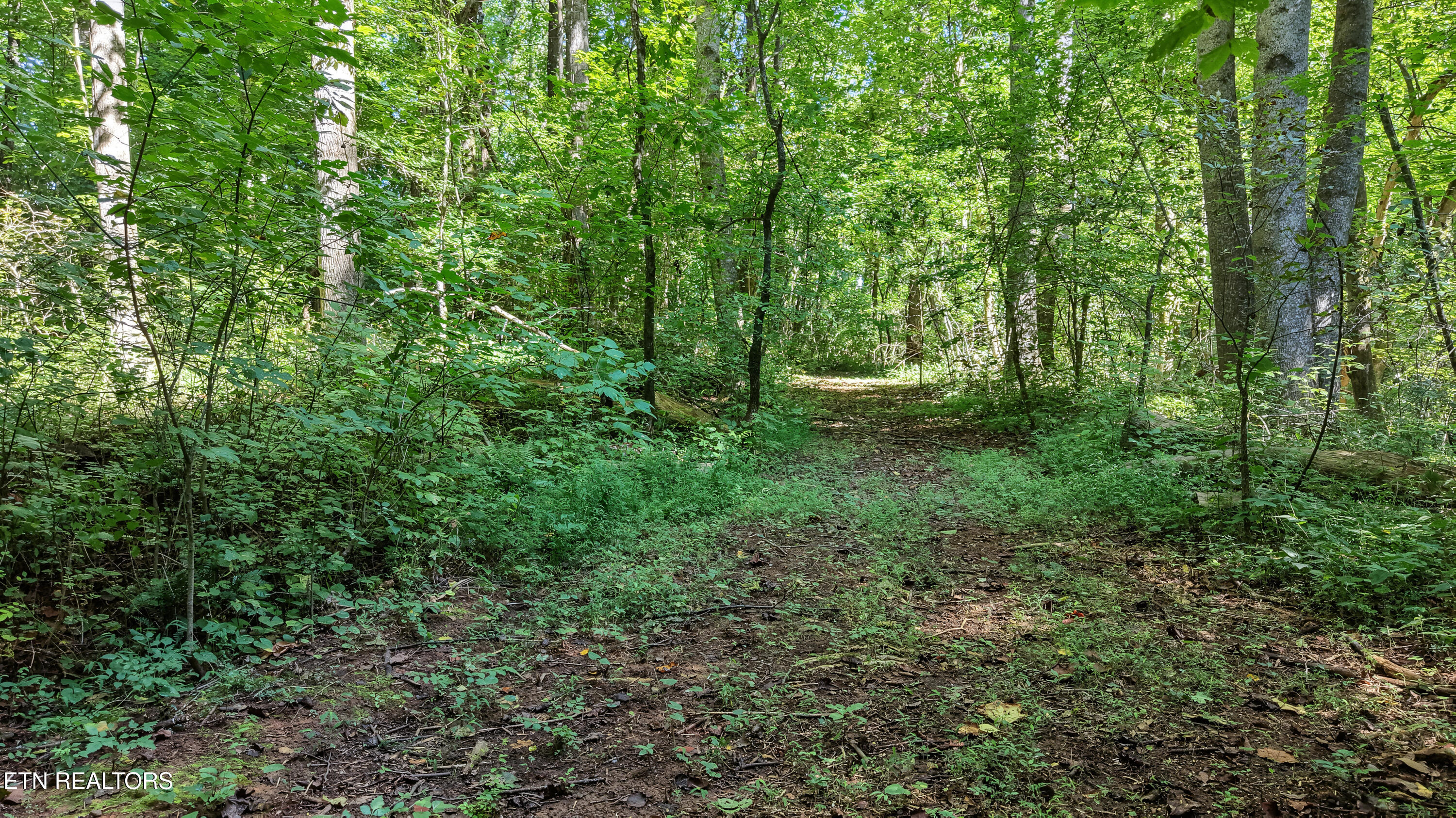 3889 Quarry Rd