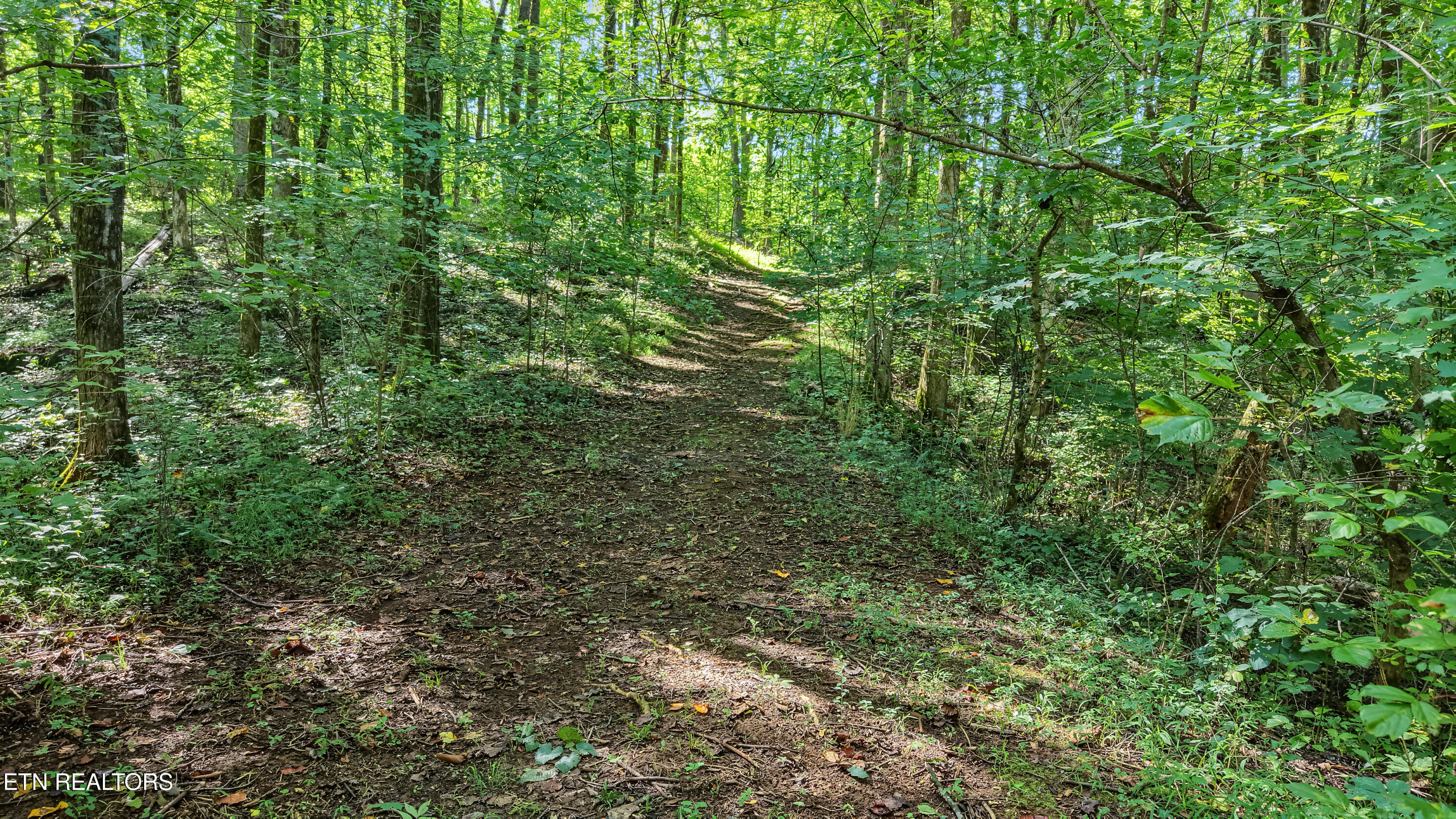 3889 Quarry Rd