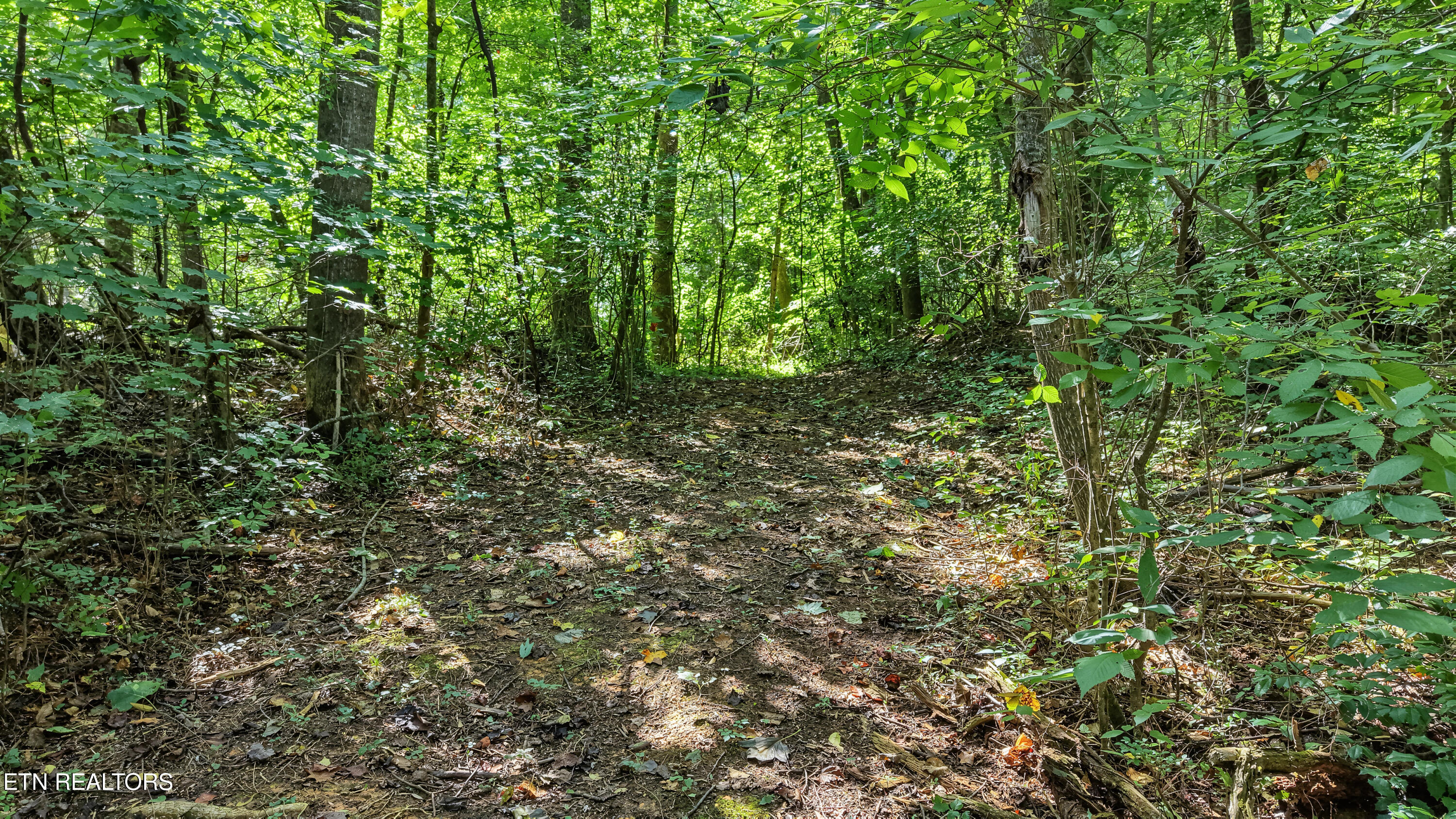 3889 Quarry Rd