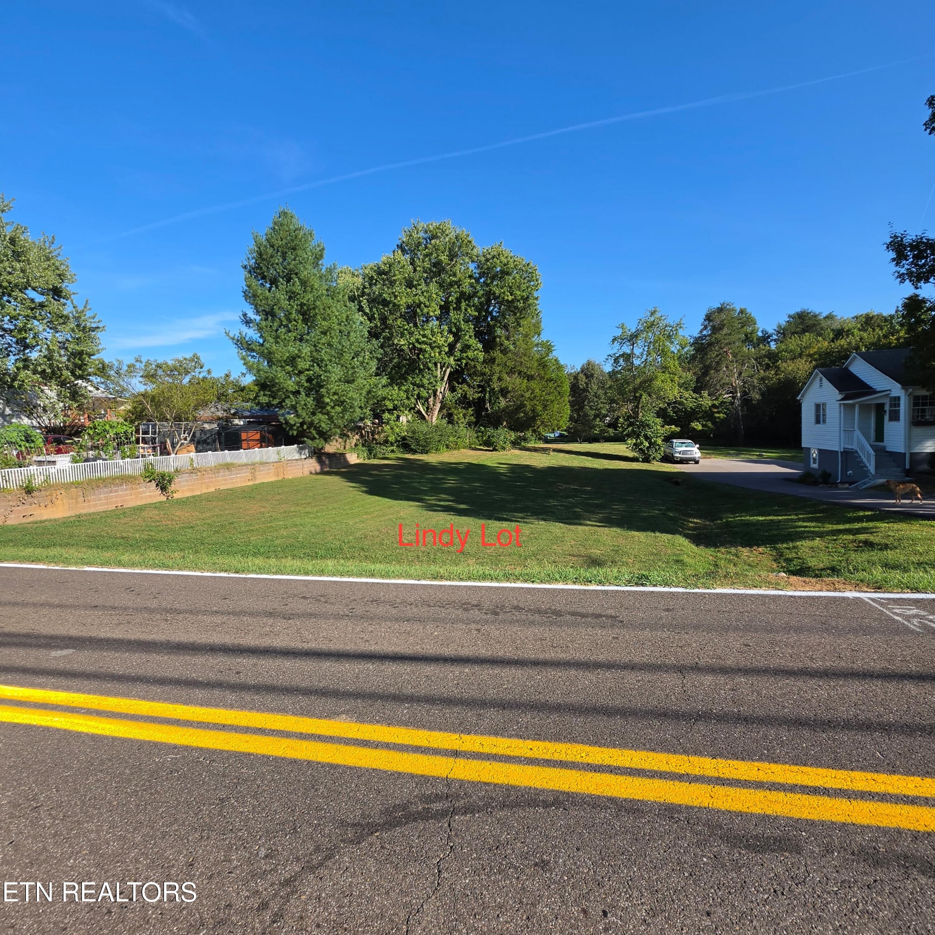 0 Lindy & Williams Drive