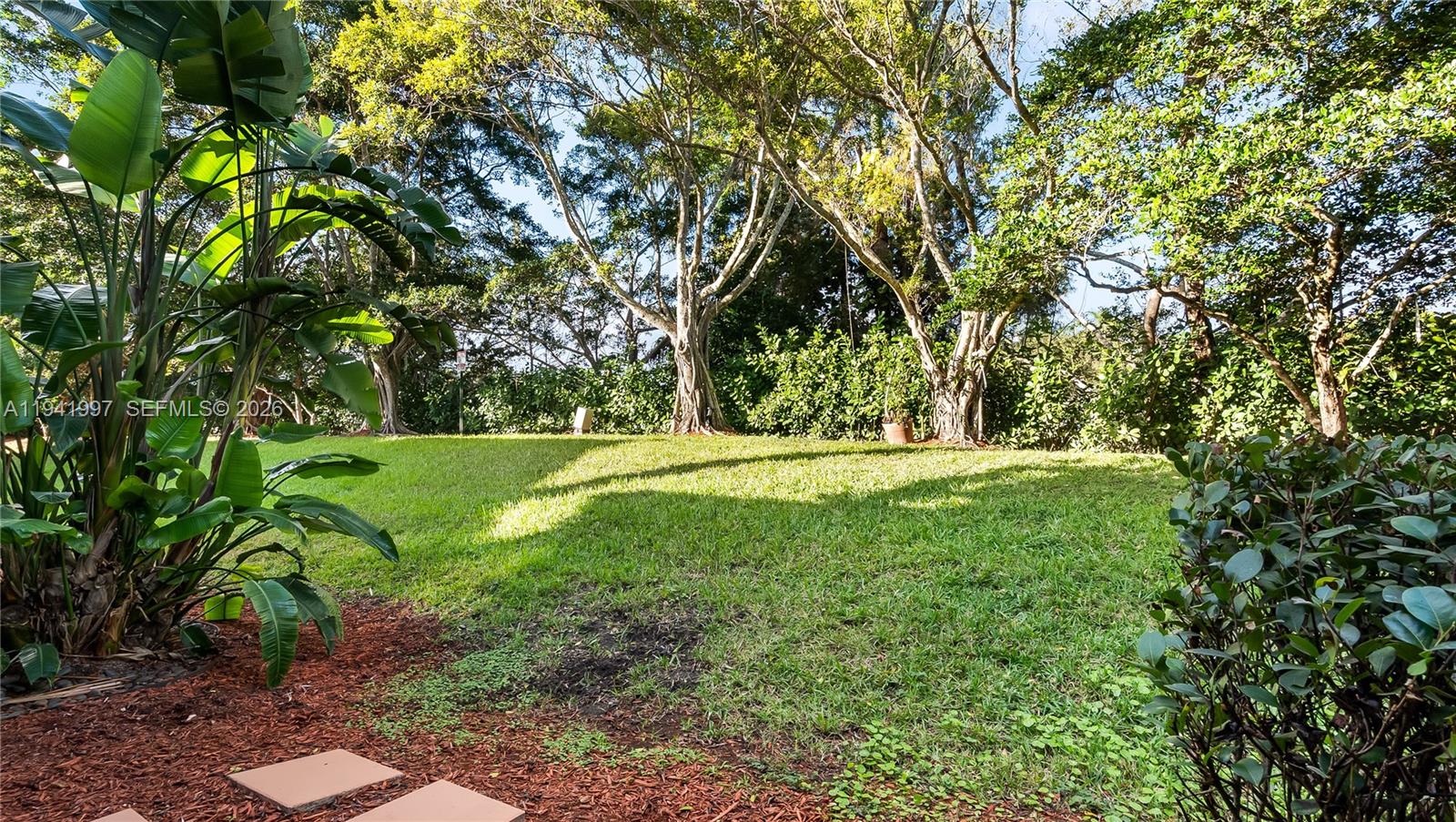 3889 Tree Top Dr # 3889