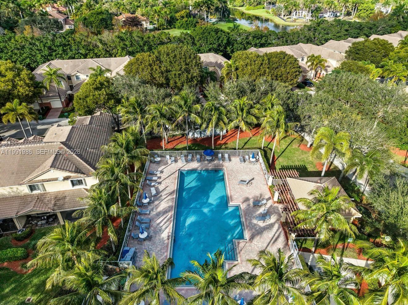 3889 Tree Top Dr # 3889