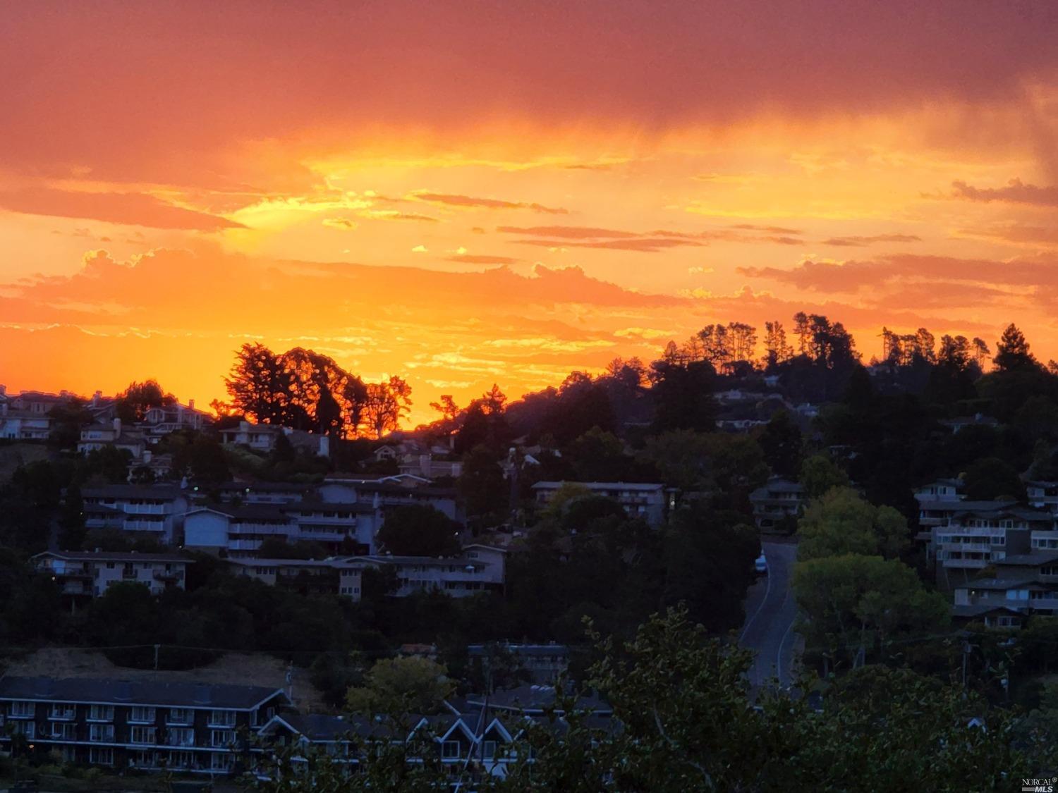 205 Richardson Drive