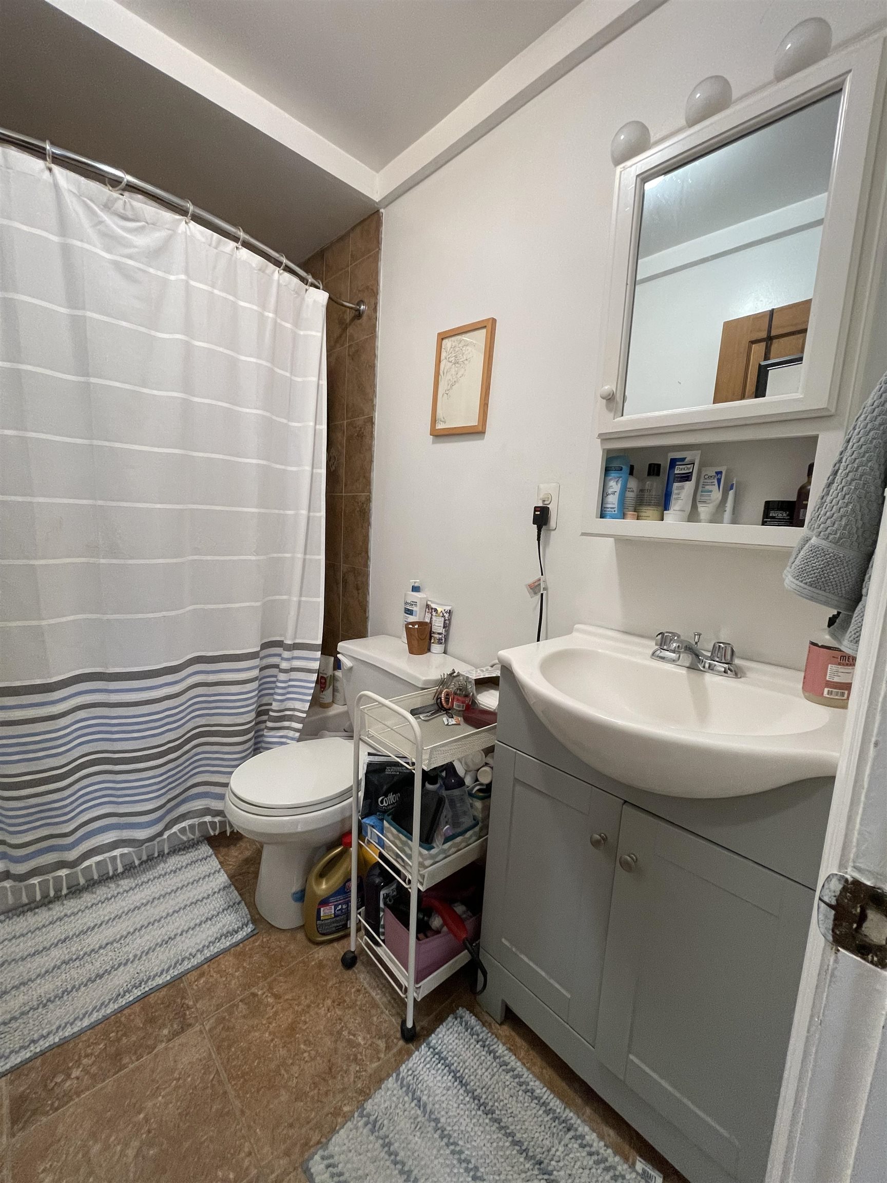 245 LIBERTY AVE Unit: 1