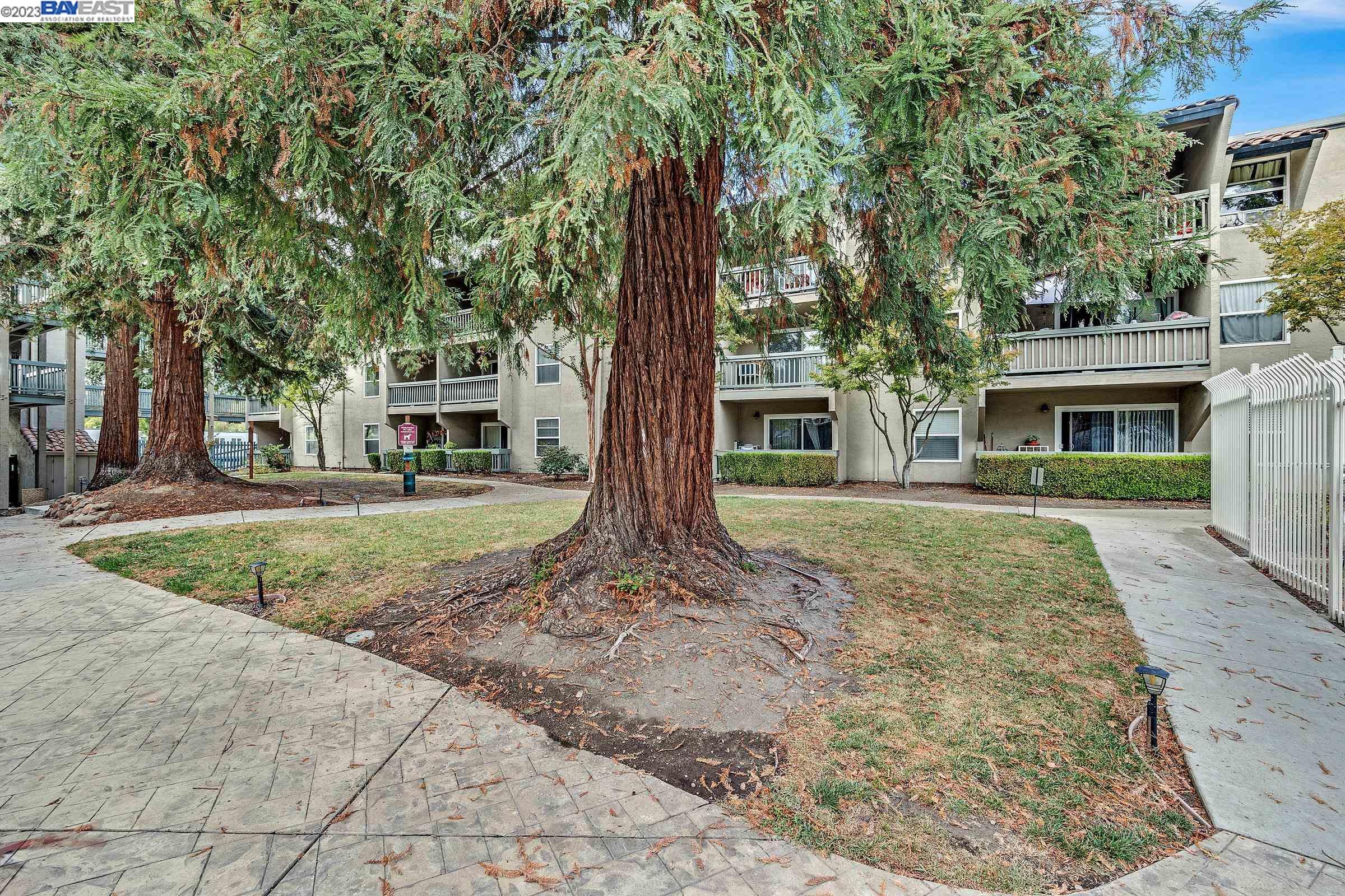 1087 Murrieta Blvd. # 331