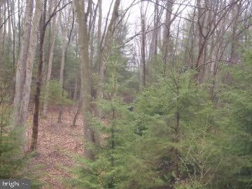 740 Mine Rd
