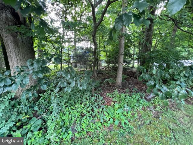 414 E Rosebud Rd