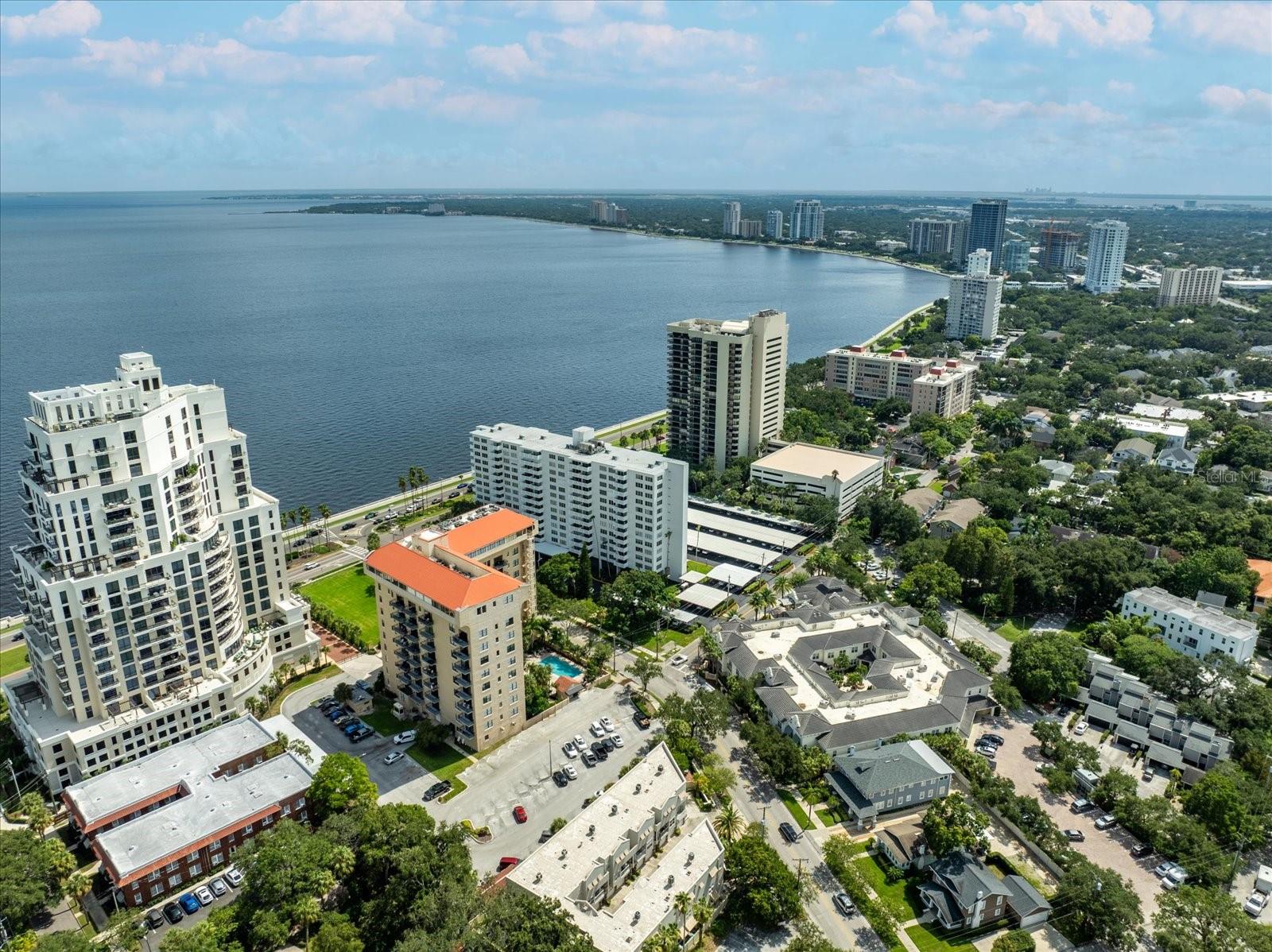 2109 BAYSHORE BLVD #203