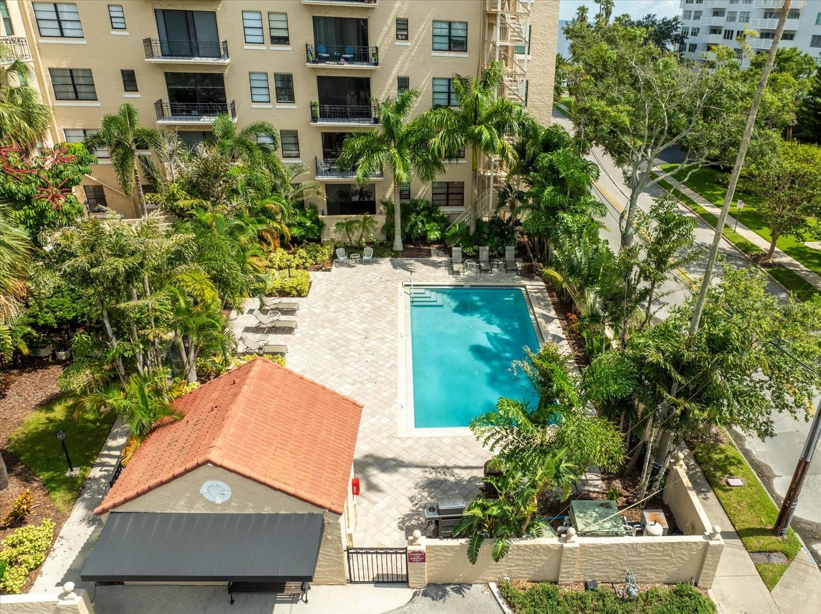 2109 BAYSHORE BLVD #203