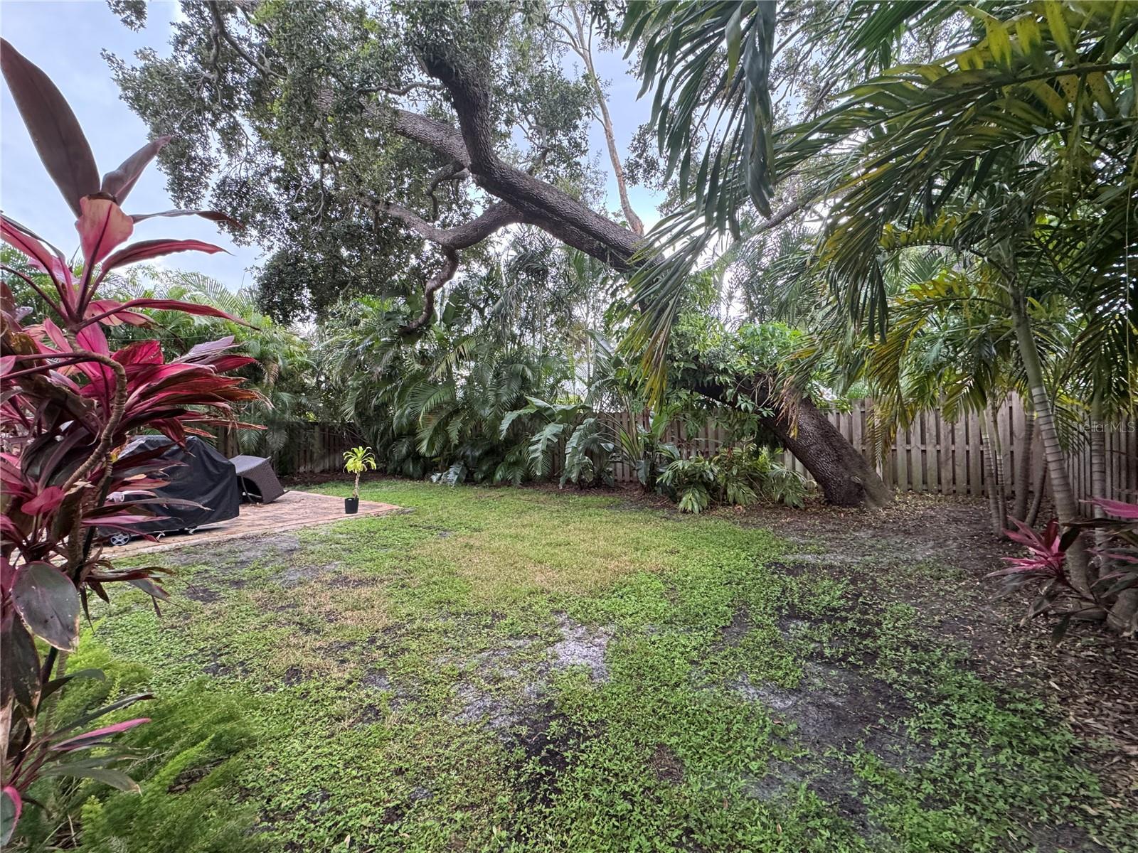 3101 LACY LEAF CT