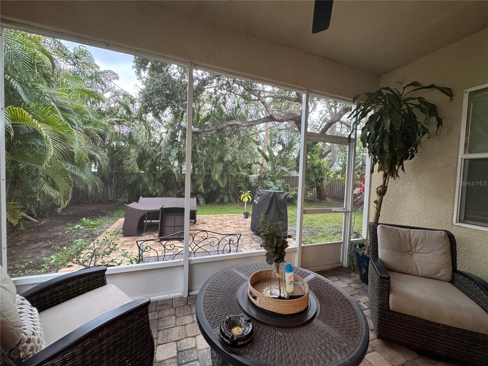 3101 LACY LEAF CT