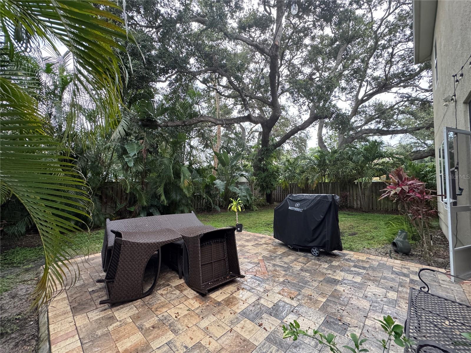 3101 LACY LEAF CT
