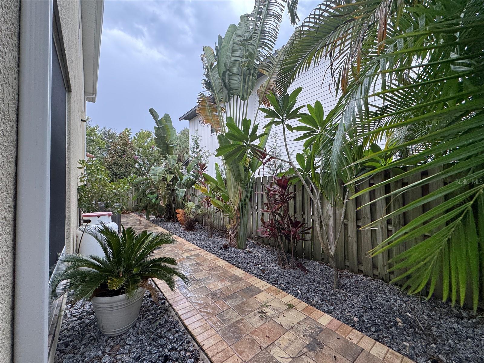 3101 LACY LEAF CT