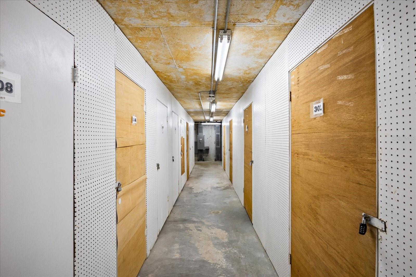 5200 BRITTANY DR S #303