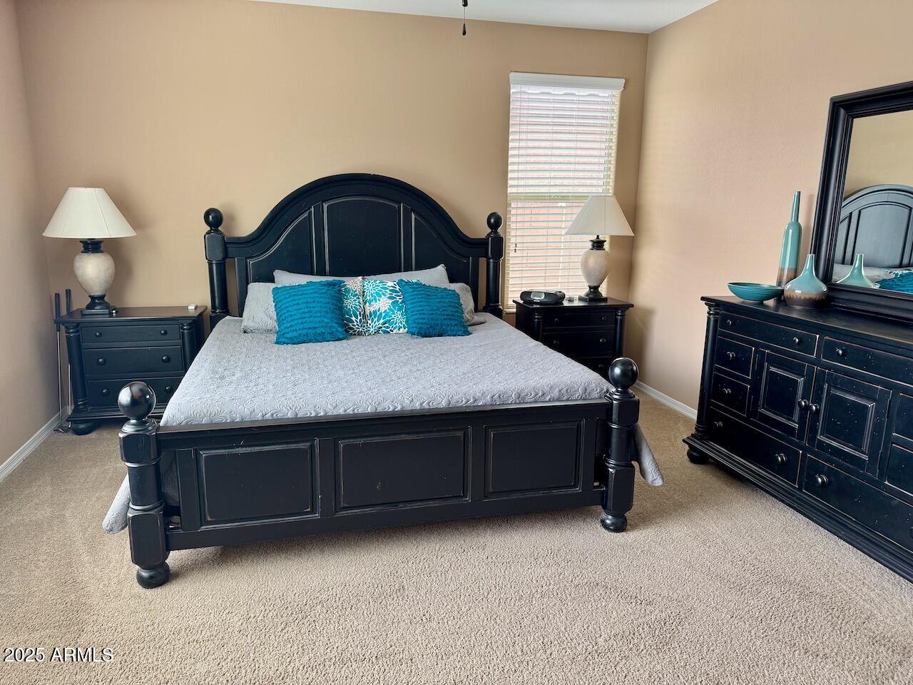 10773 W PRICKLY PEAR Trail