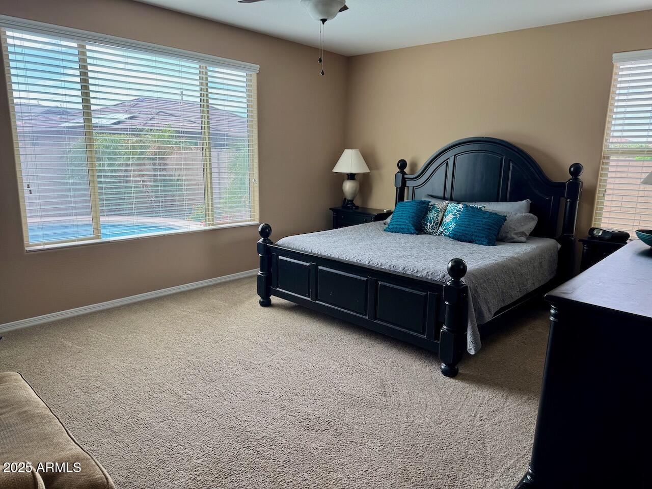 10773 W PRICKLY PEAR Trail