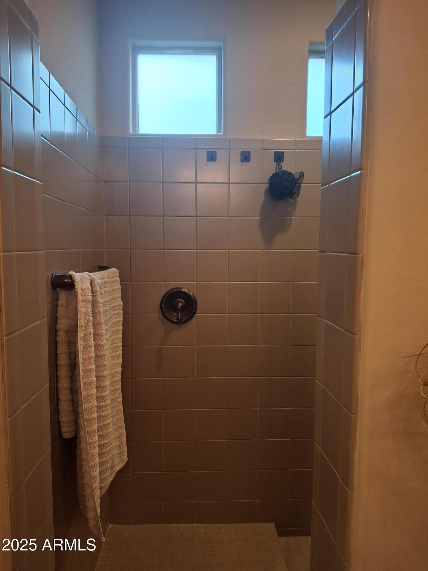 10773 W PRICKLY PEAR Trail