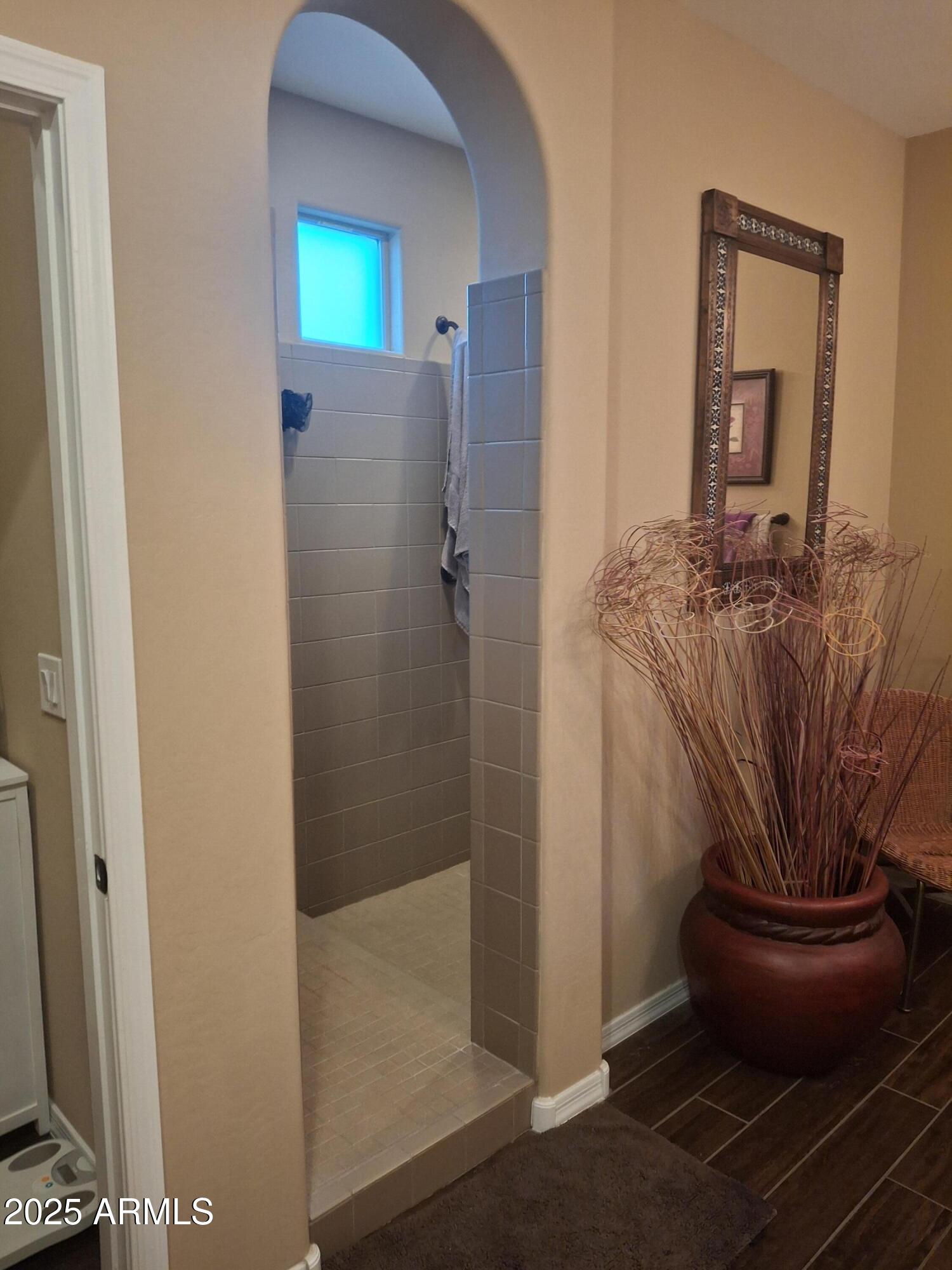 10773 W PRICKLY PEAR Trail