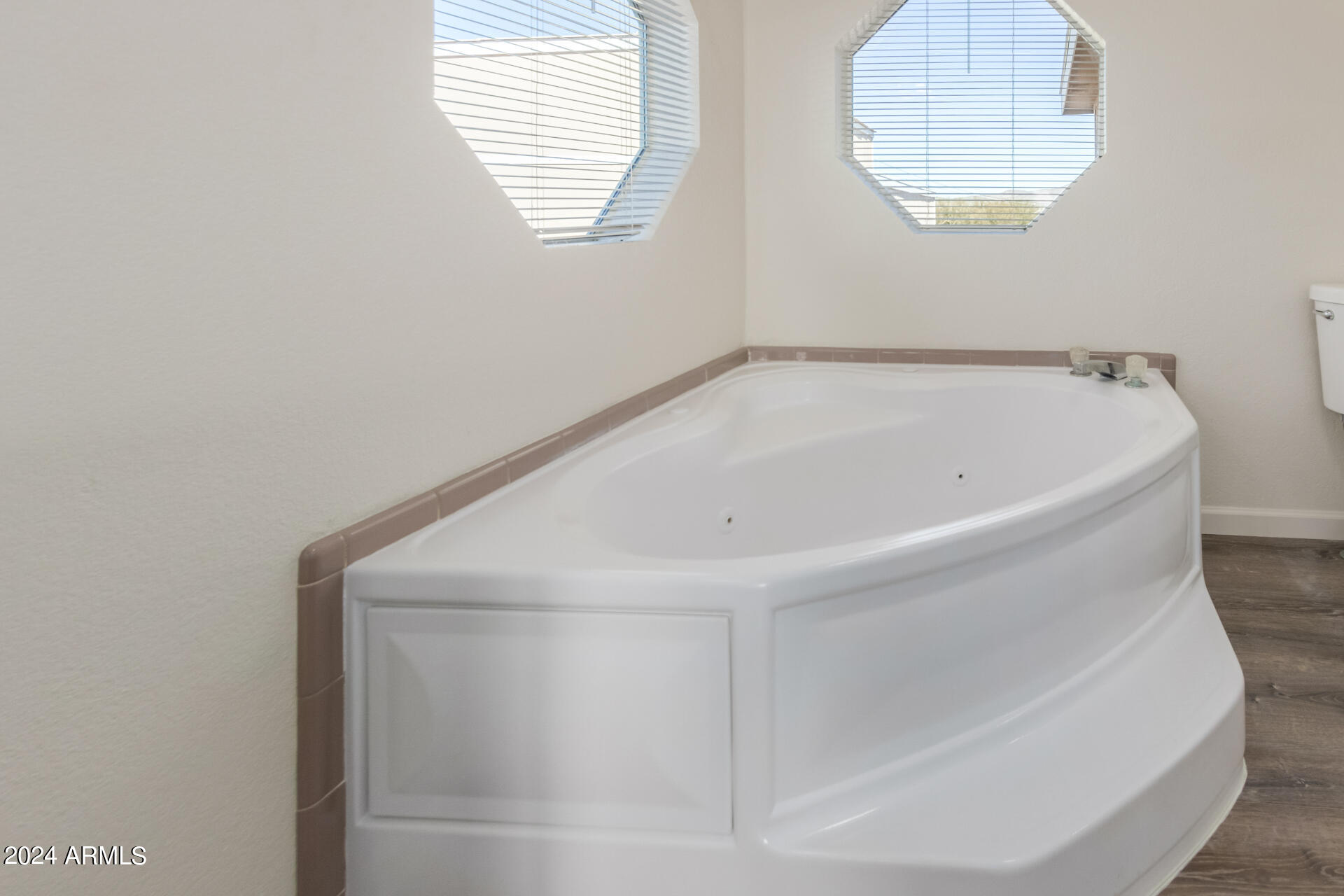 2816 W TWIN PEAKS Lane