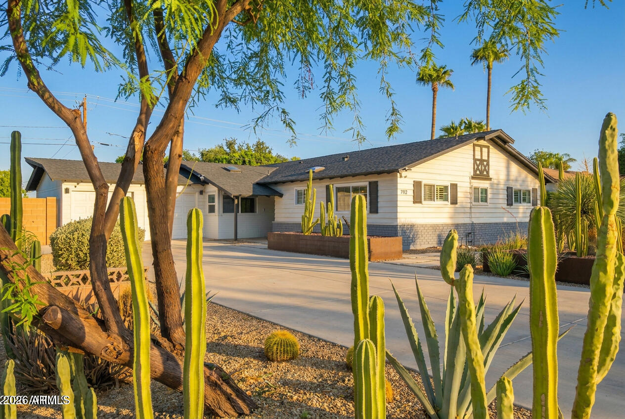 Single-story white house with desert landscaping, tall cacti, and a broad driveway.