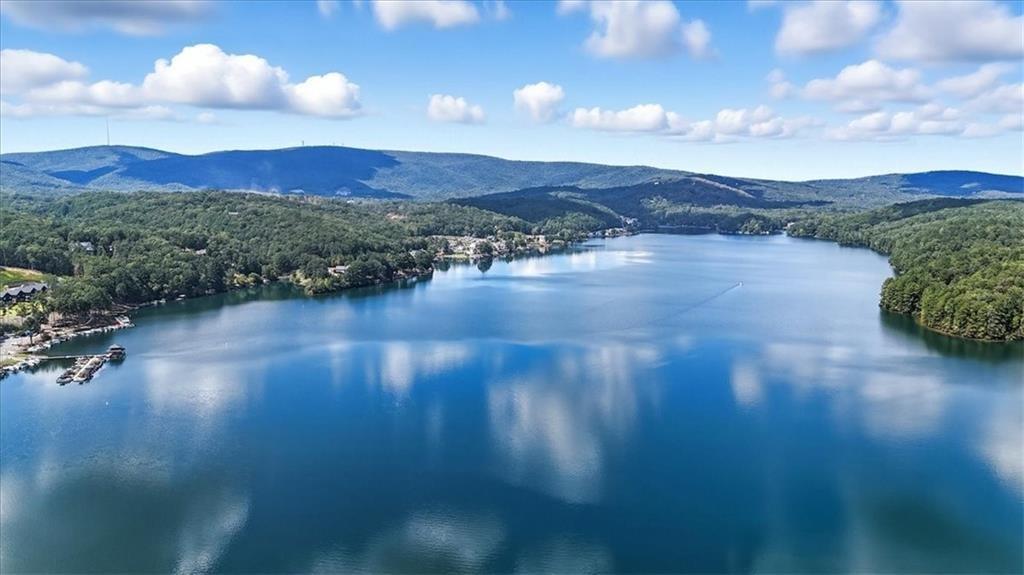 106 Lake Cottages Court