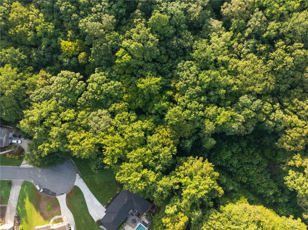 Aerial view of dense woodland beside a residential cul-de-sac and homes.