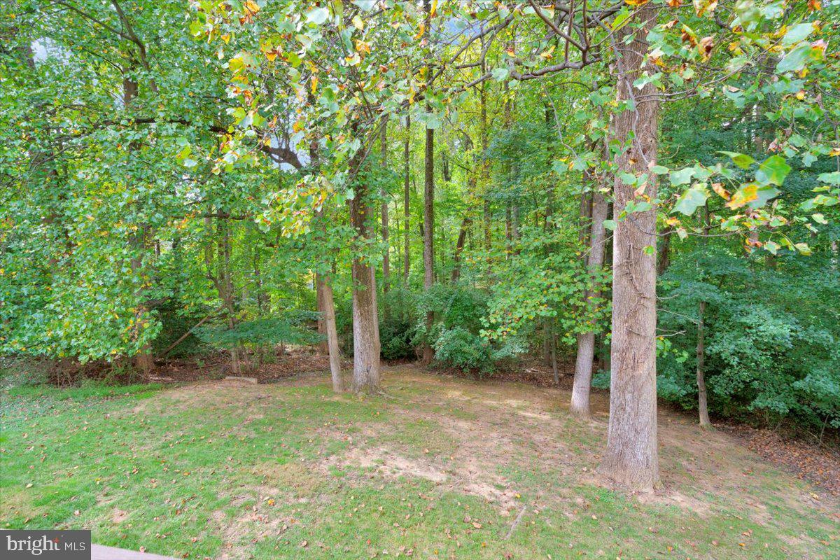 3374 Monarch LANE