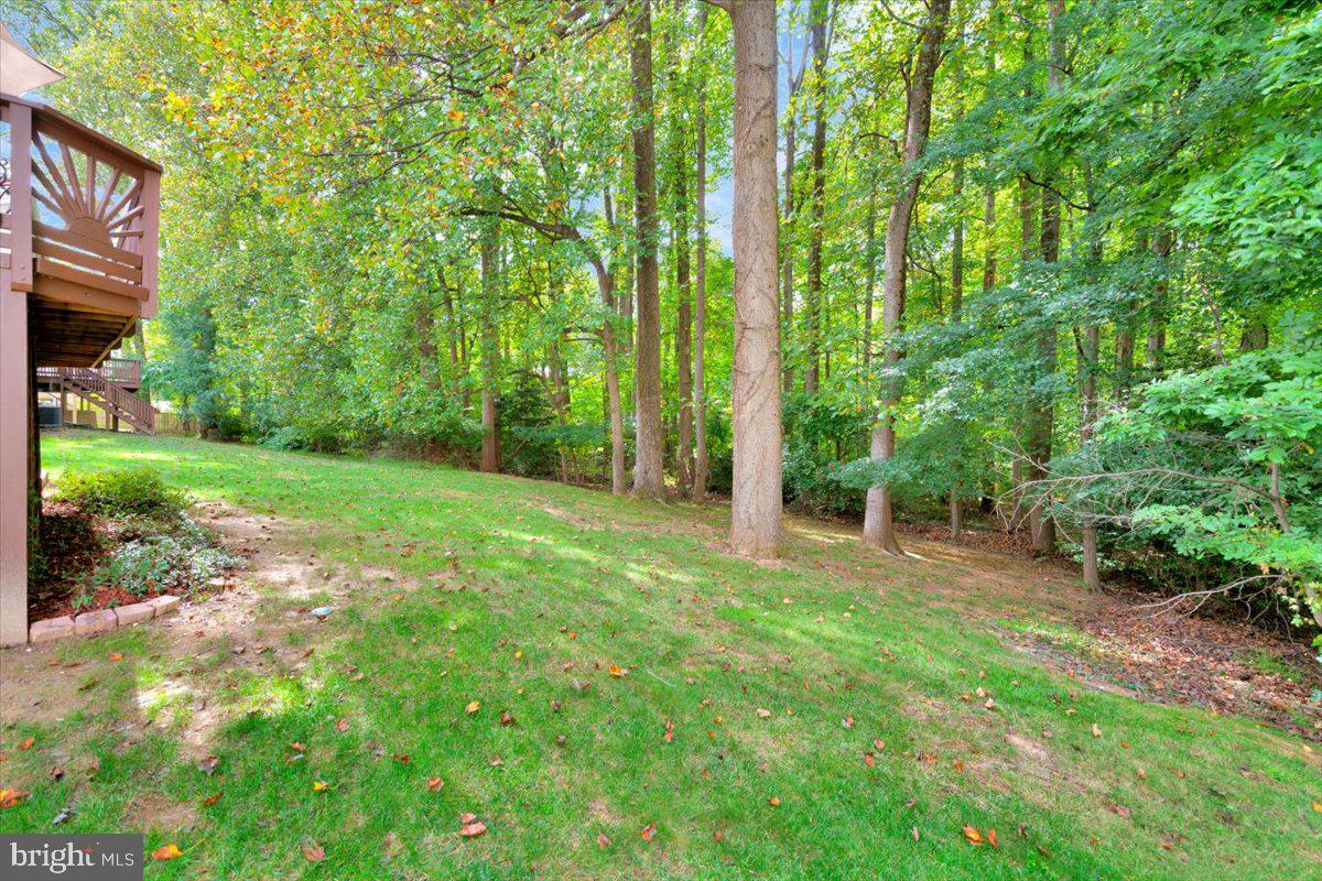 3374 Monarch LANE