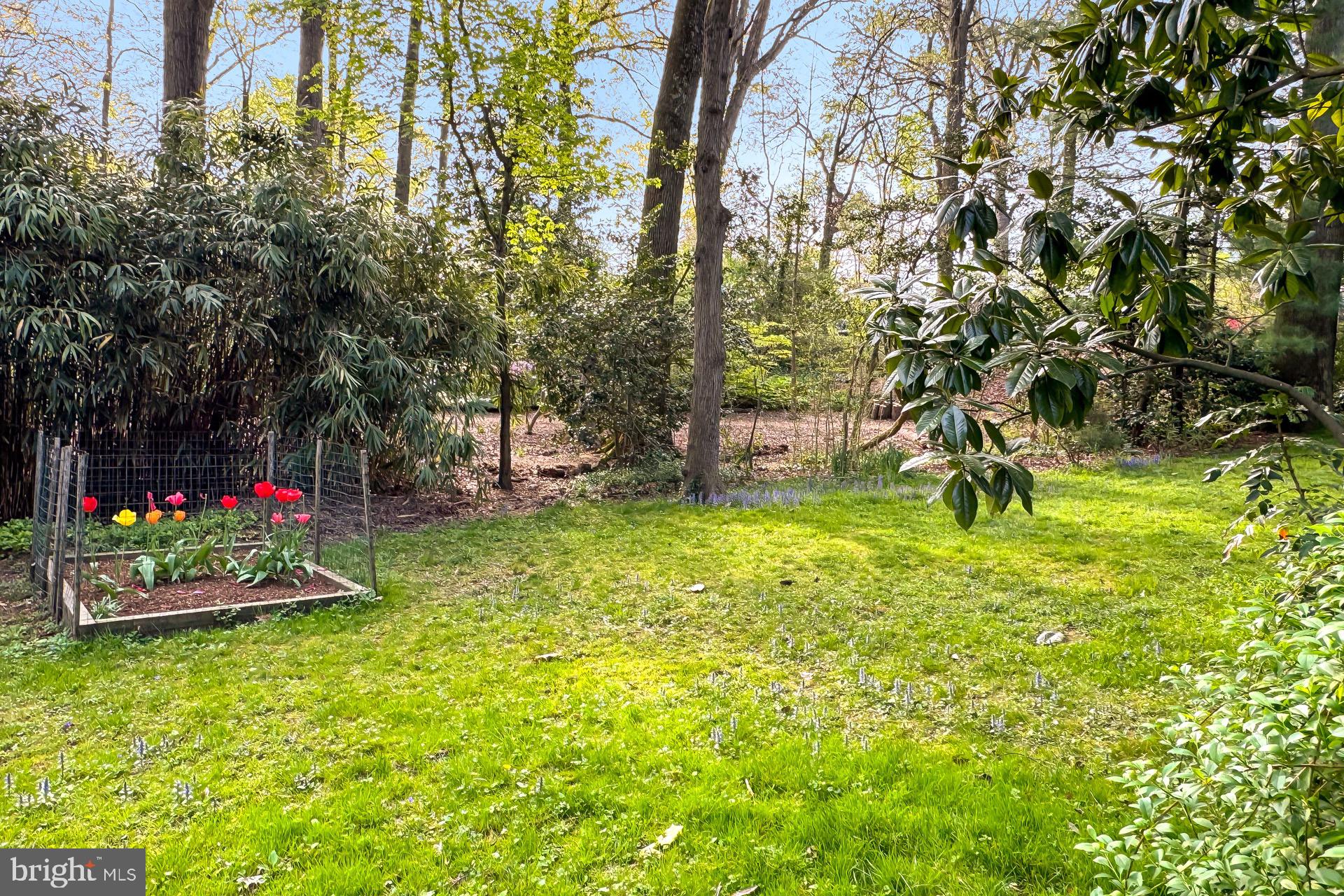 7317 Stafford Rd