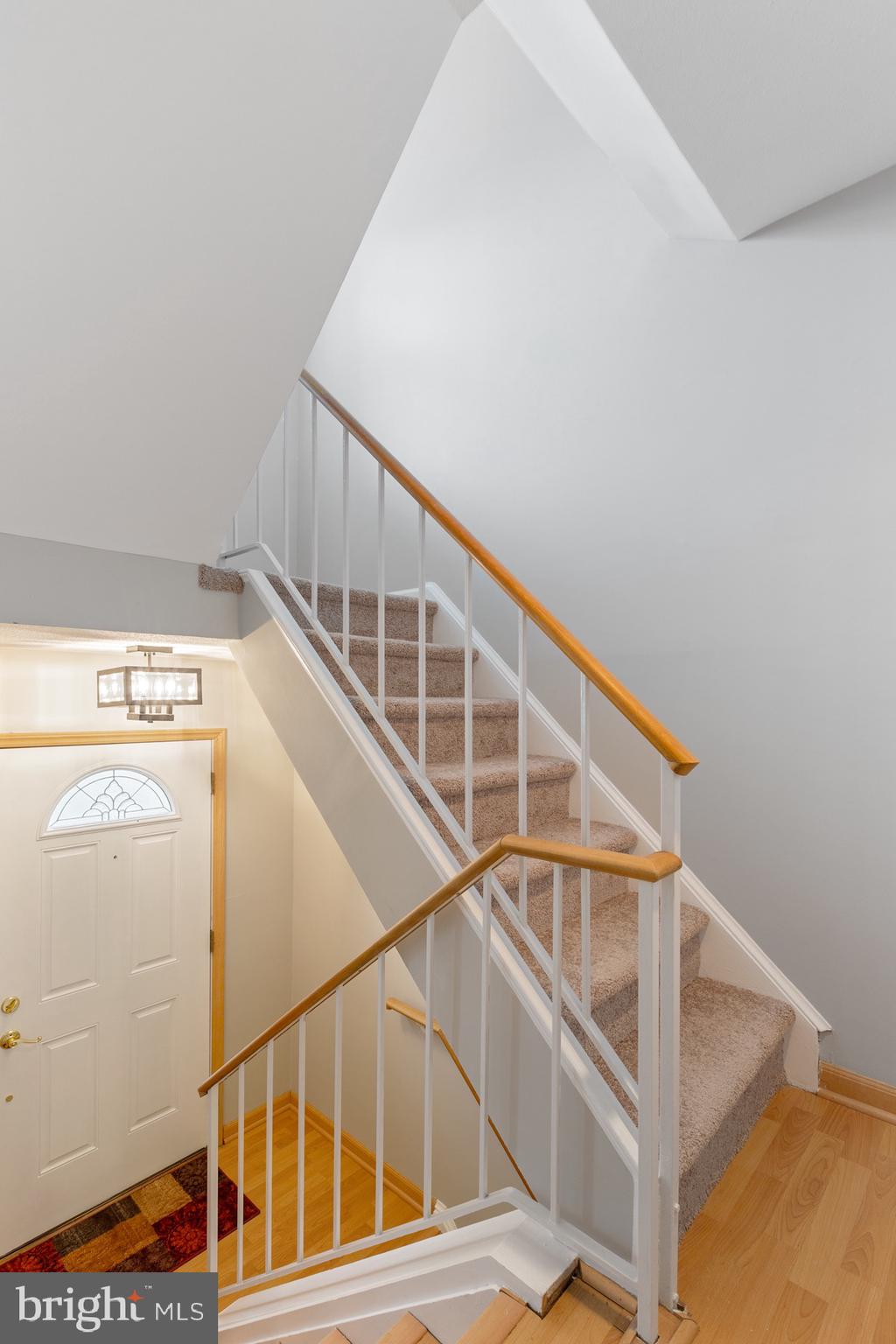 2384 BRANLEIGH PARK CT