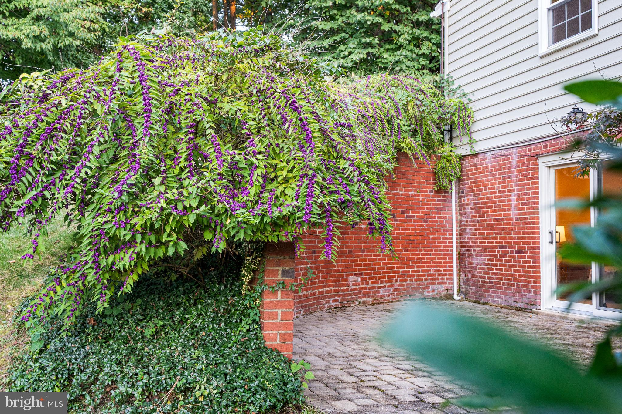 6433 RIVES COURT