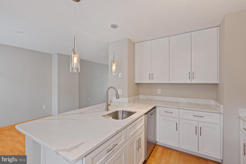 2384 BRANLEIGH PARK COURT