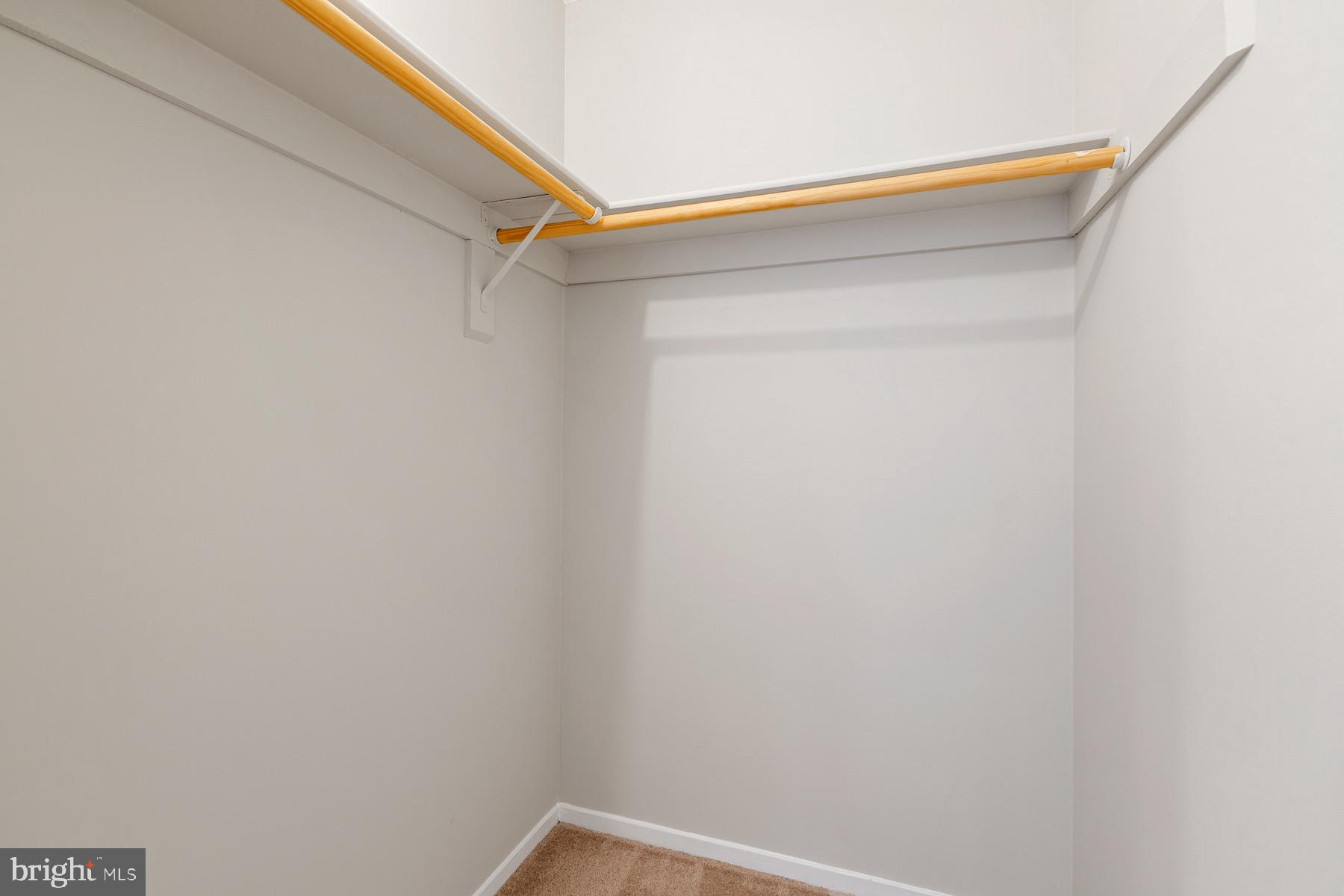 2384 BRANLEIGH PARK COURT