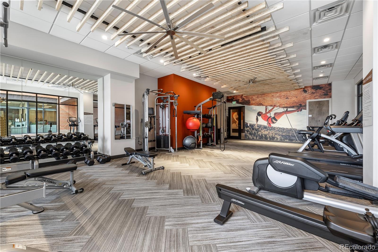 20 Wilcox Street Unit: 209
