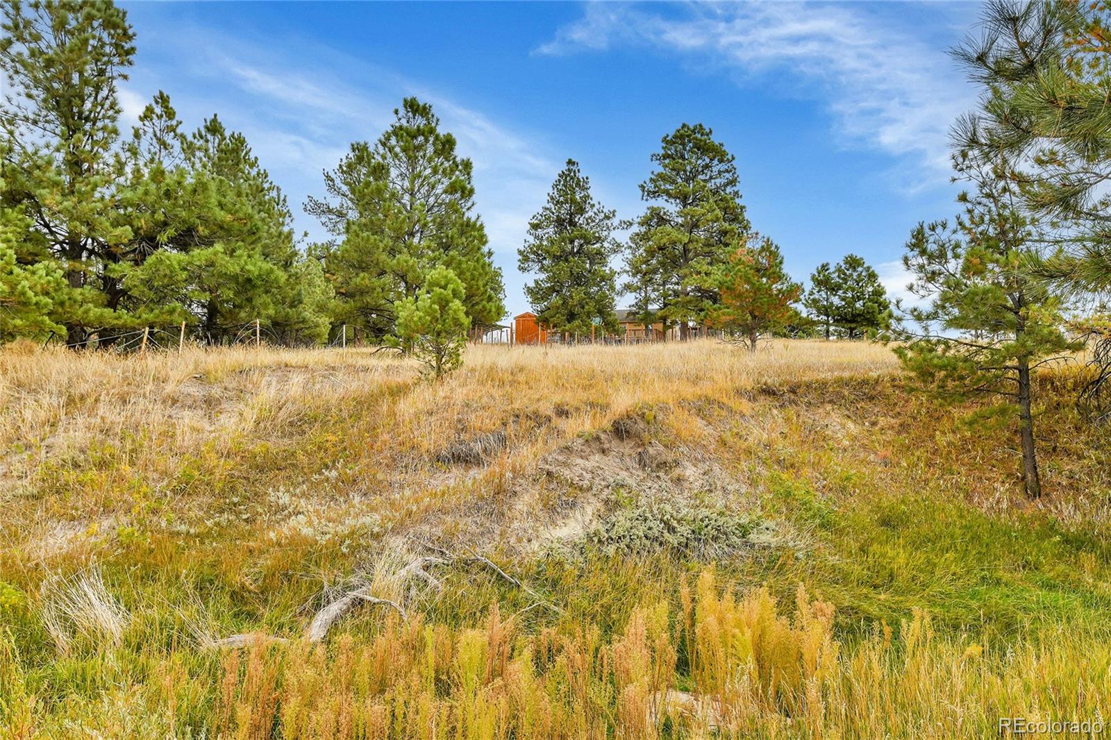 32333 Pine View Drive
