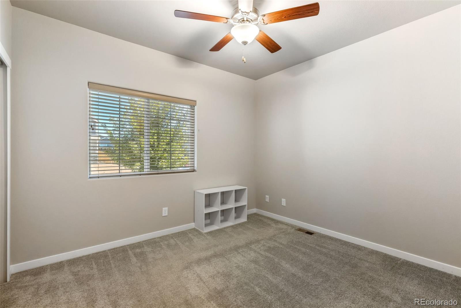 6904 Bigtooth Maple Drive